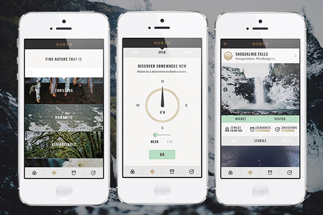 A sample of three UX templates used on a phone application.