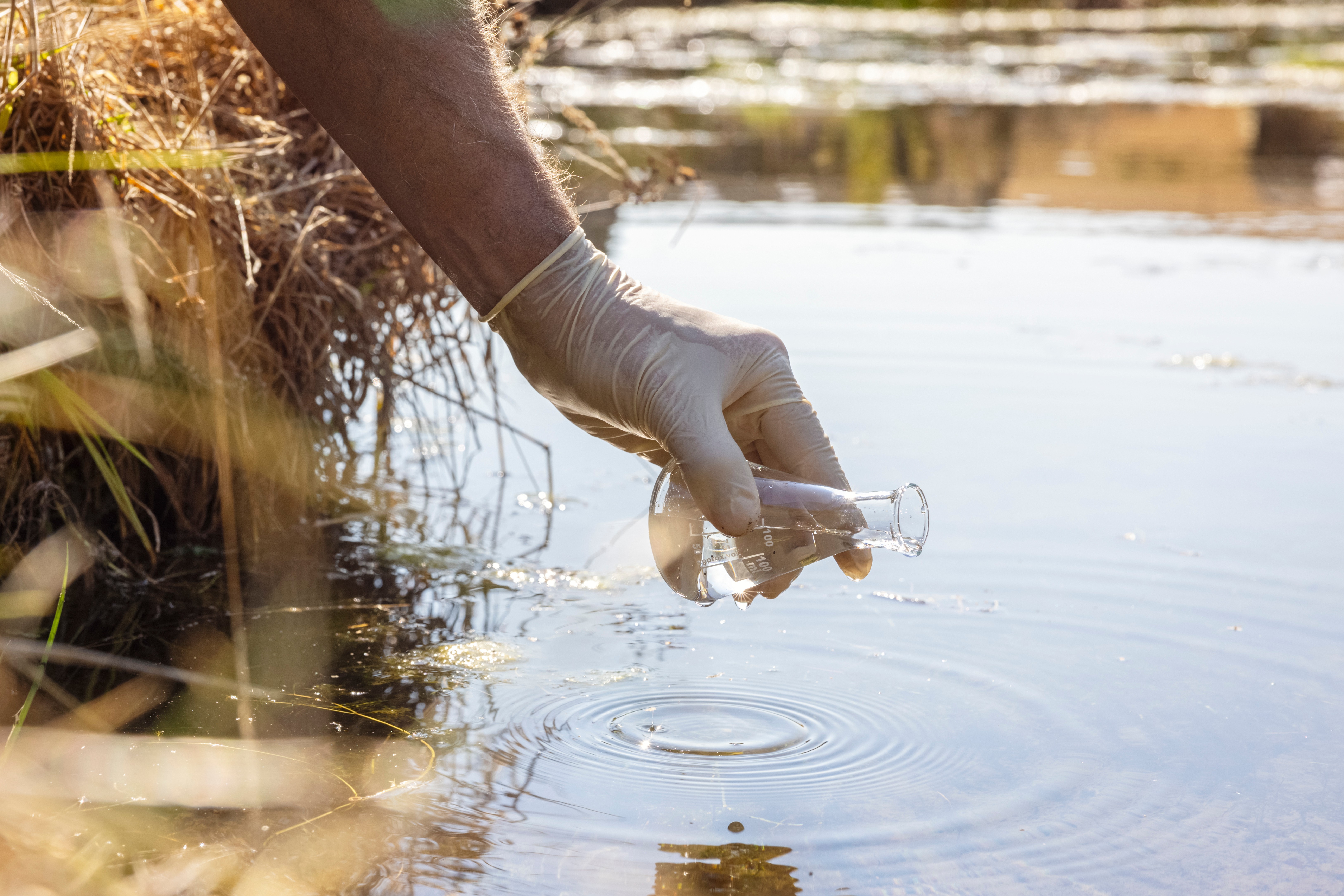 A hand wearing a white glove collecting water in a beaker from an external water source.