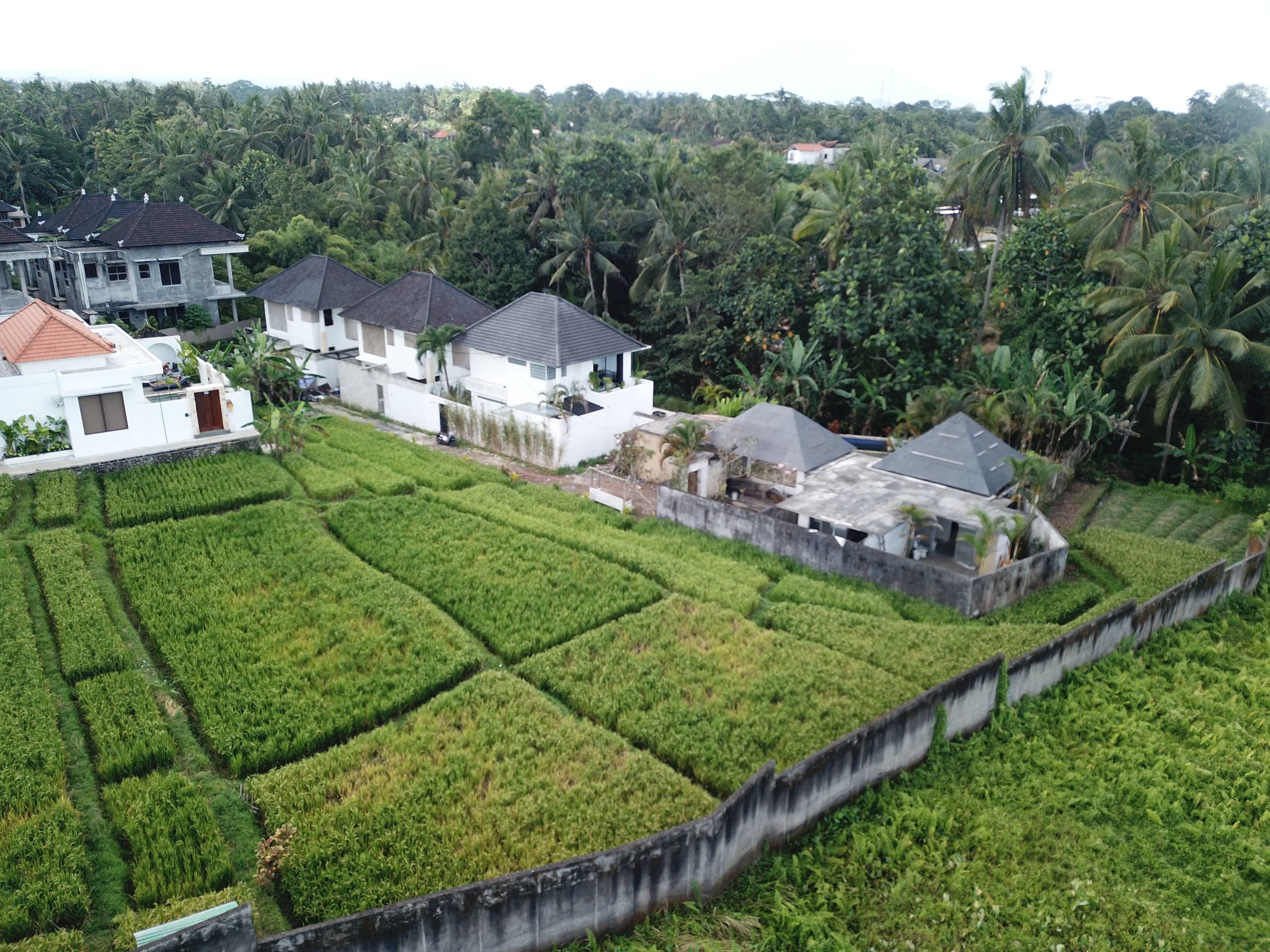 Land plot 3200 m² in Ubud, Leasehold