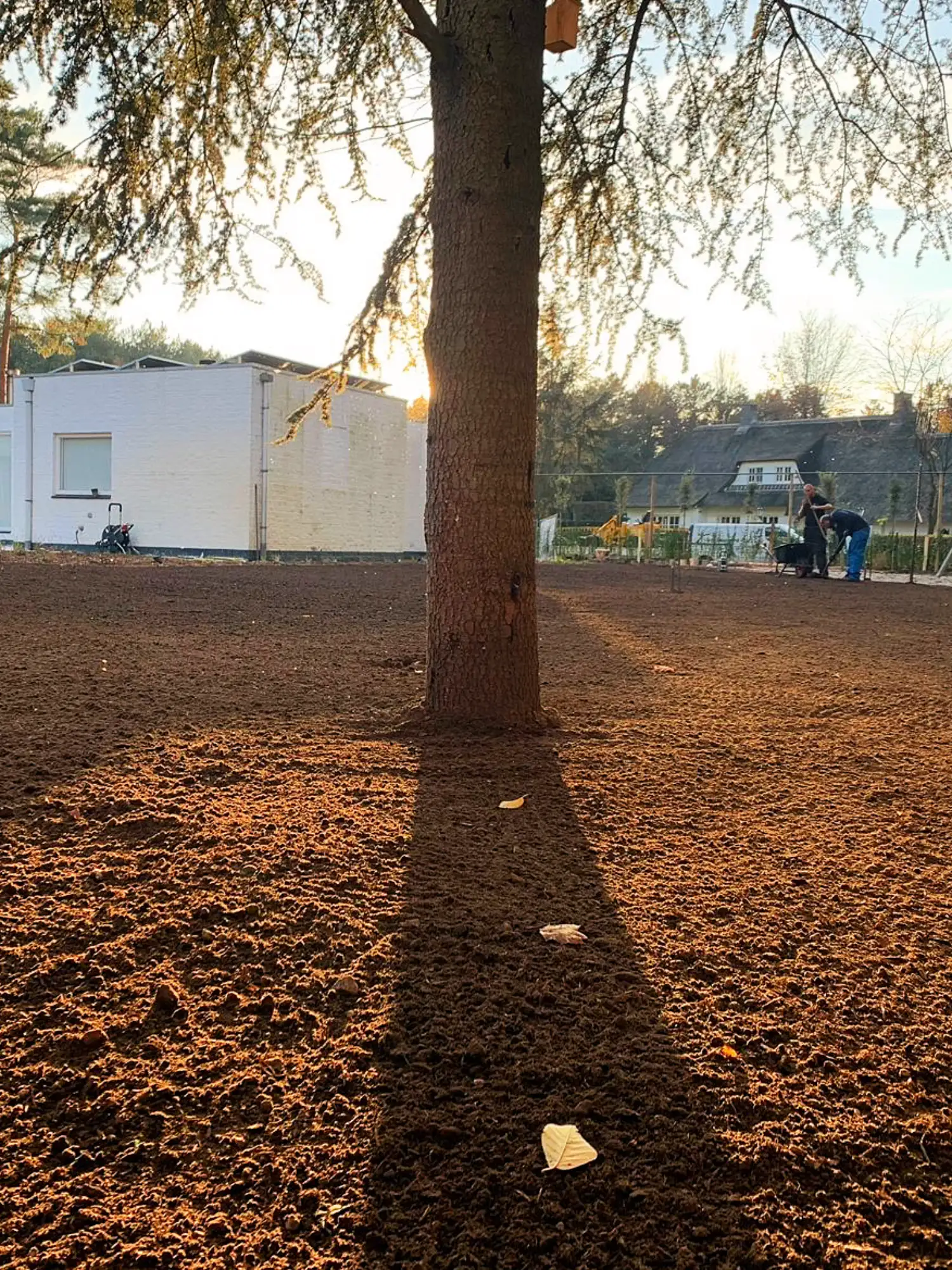 Van uitgravingen tot rioleringswerken: wij zorgen voor een stevige fundering voor elk tuinproject. Efficiënt, vakkundig en betrouwbaar uitgevoerd.