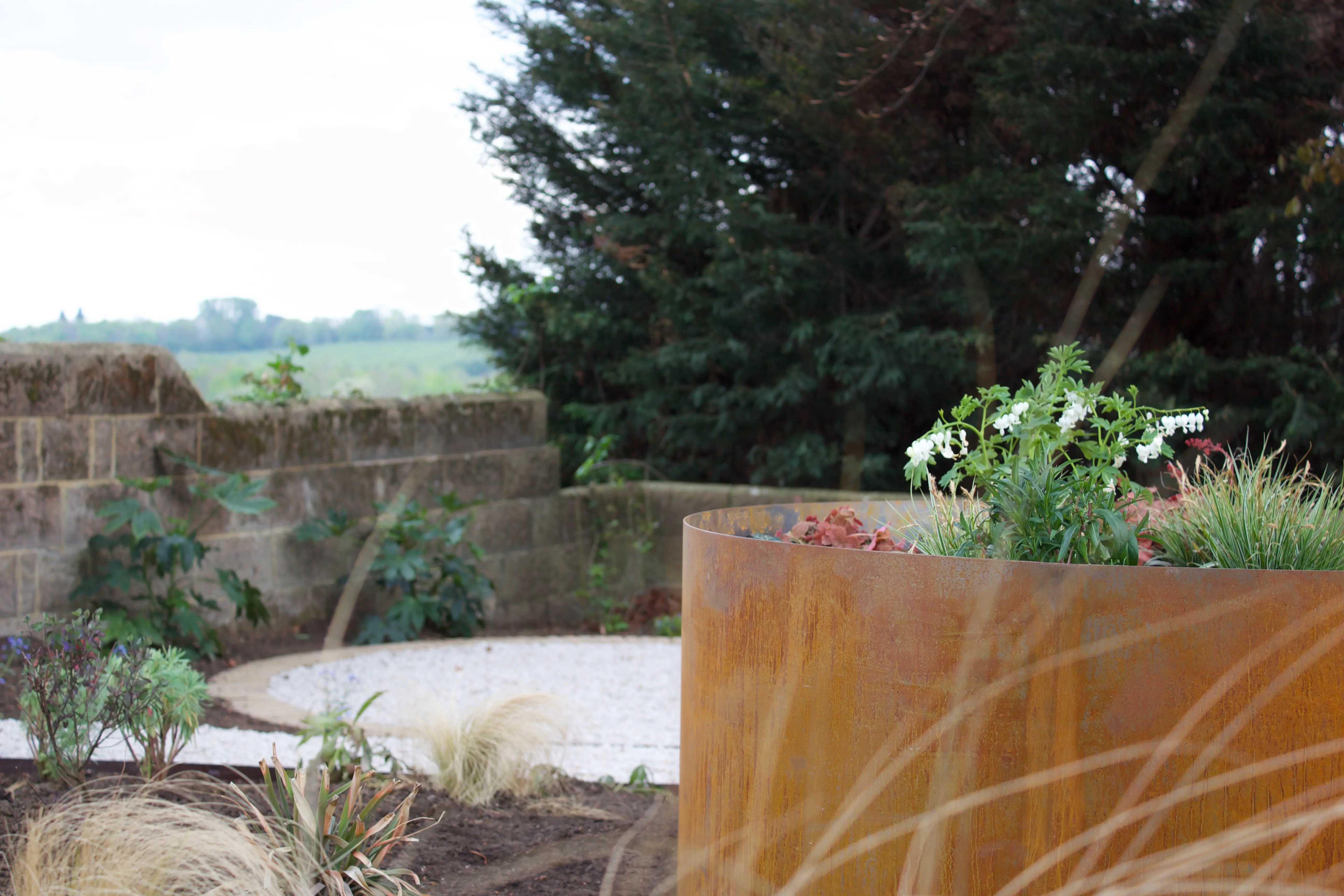 A small green plant grows from a wooden planter, with blurred greenery and a cloudy sky in the background.