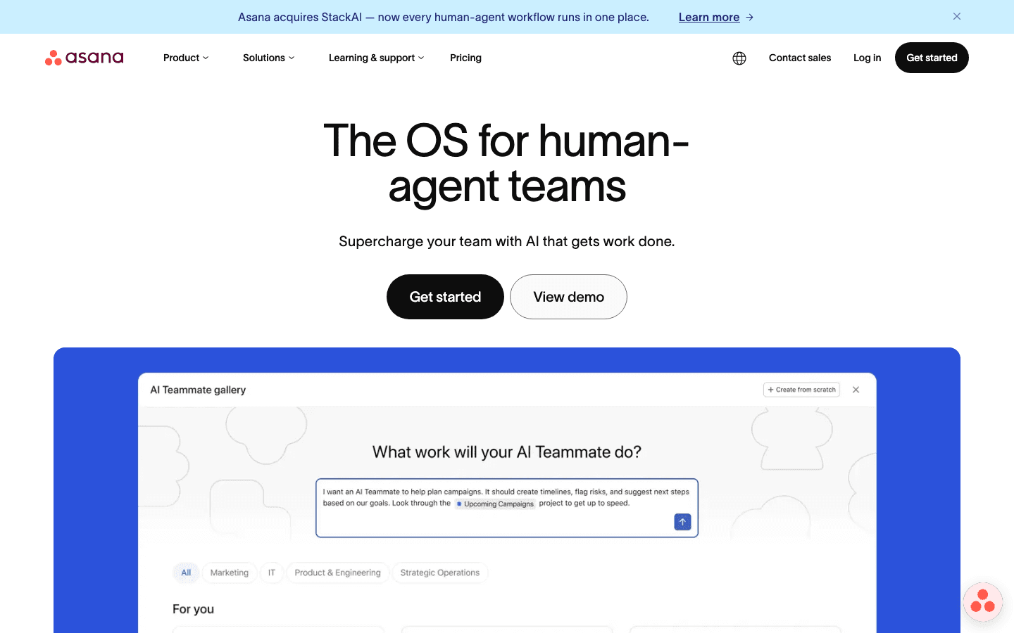 Asana website screenshot