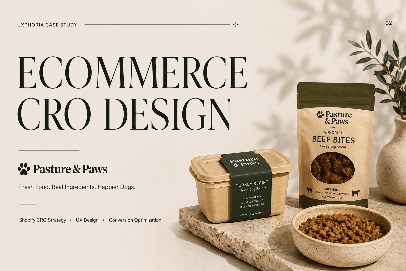 premium shopify brand design with structured layout