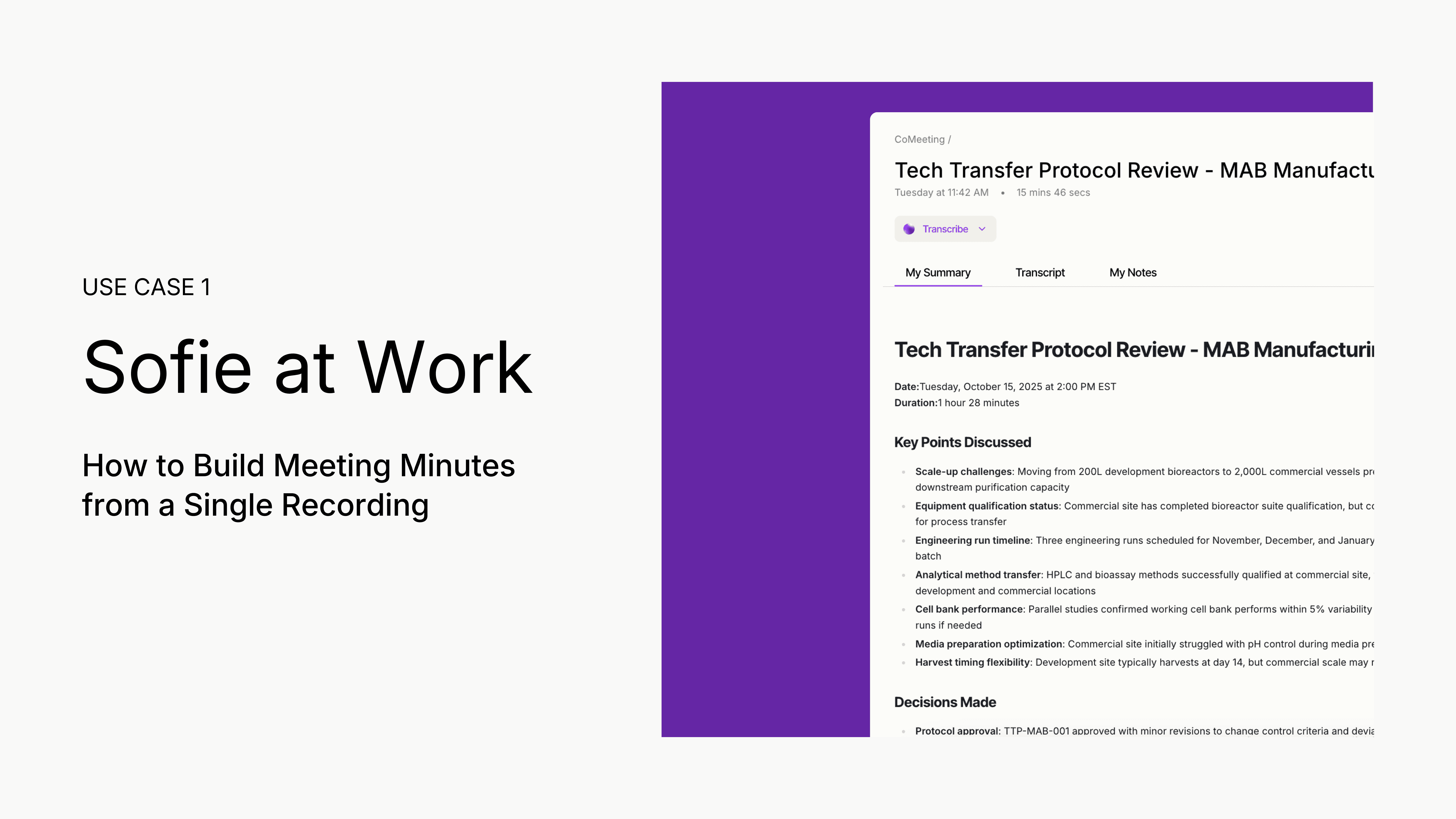 Sofie at Work: Meeting Minutes