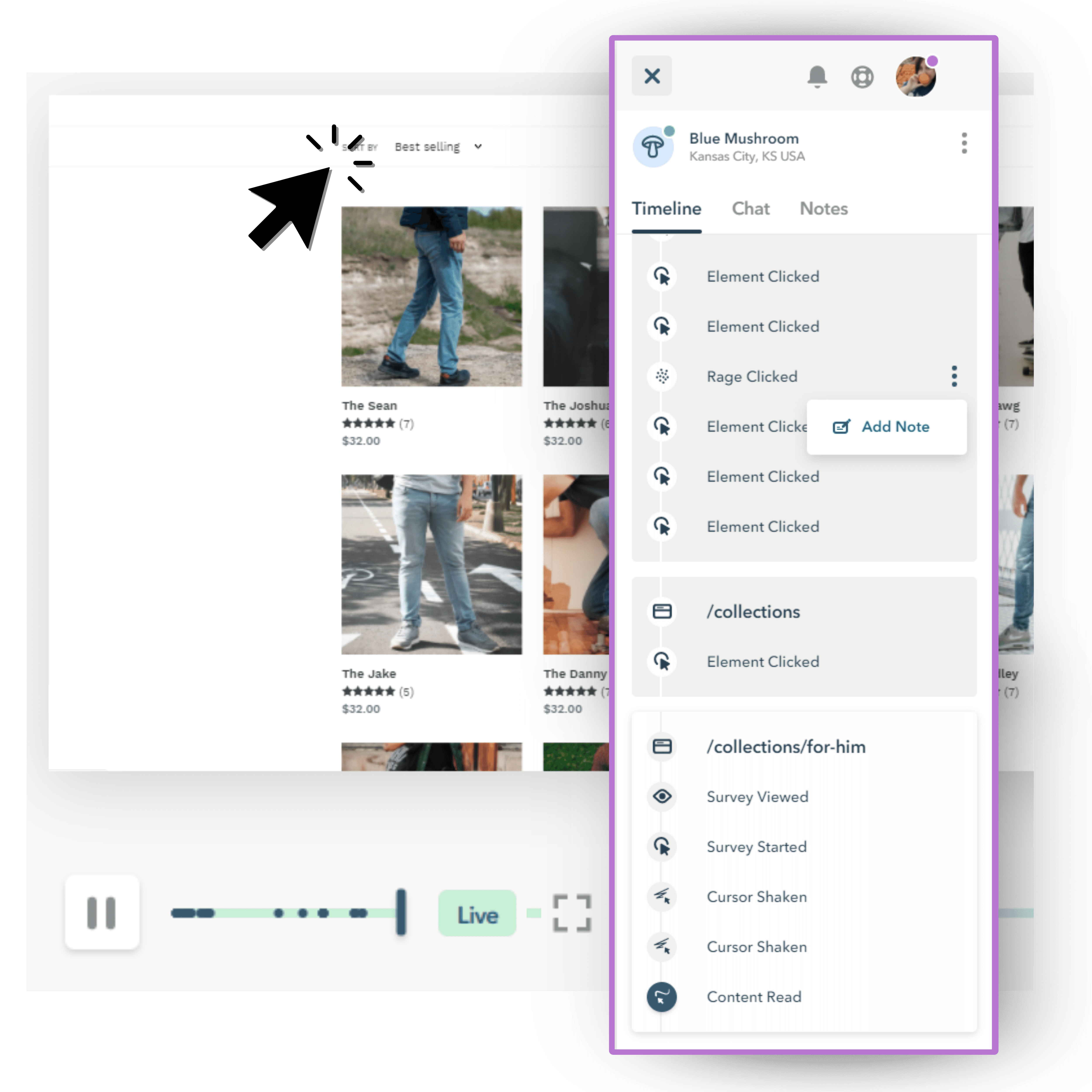 Lucky Orange Session Recordings Timeline