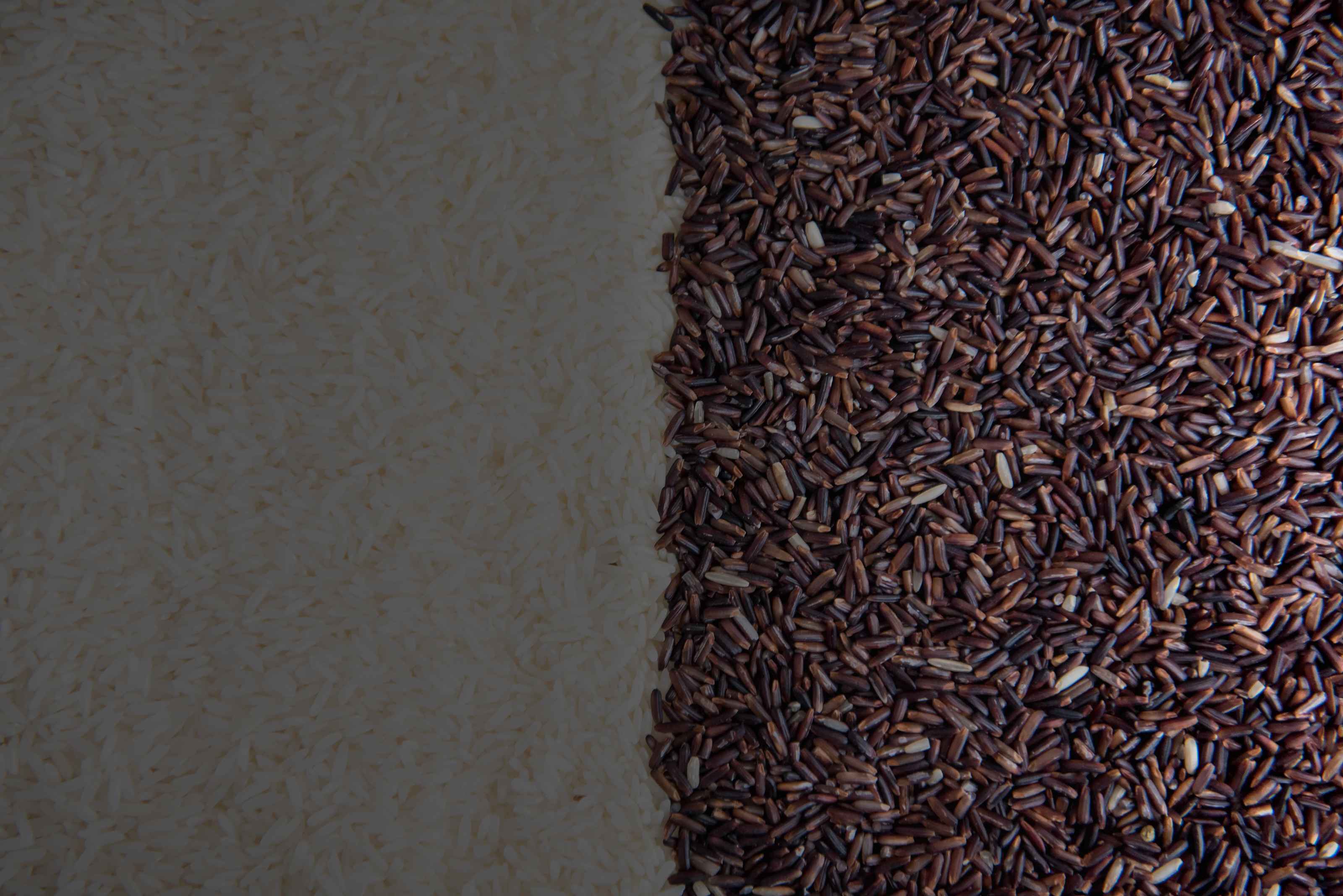 Why Did Farmers Stop Growing Kala Namak Rice?