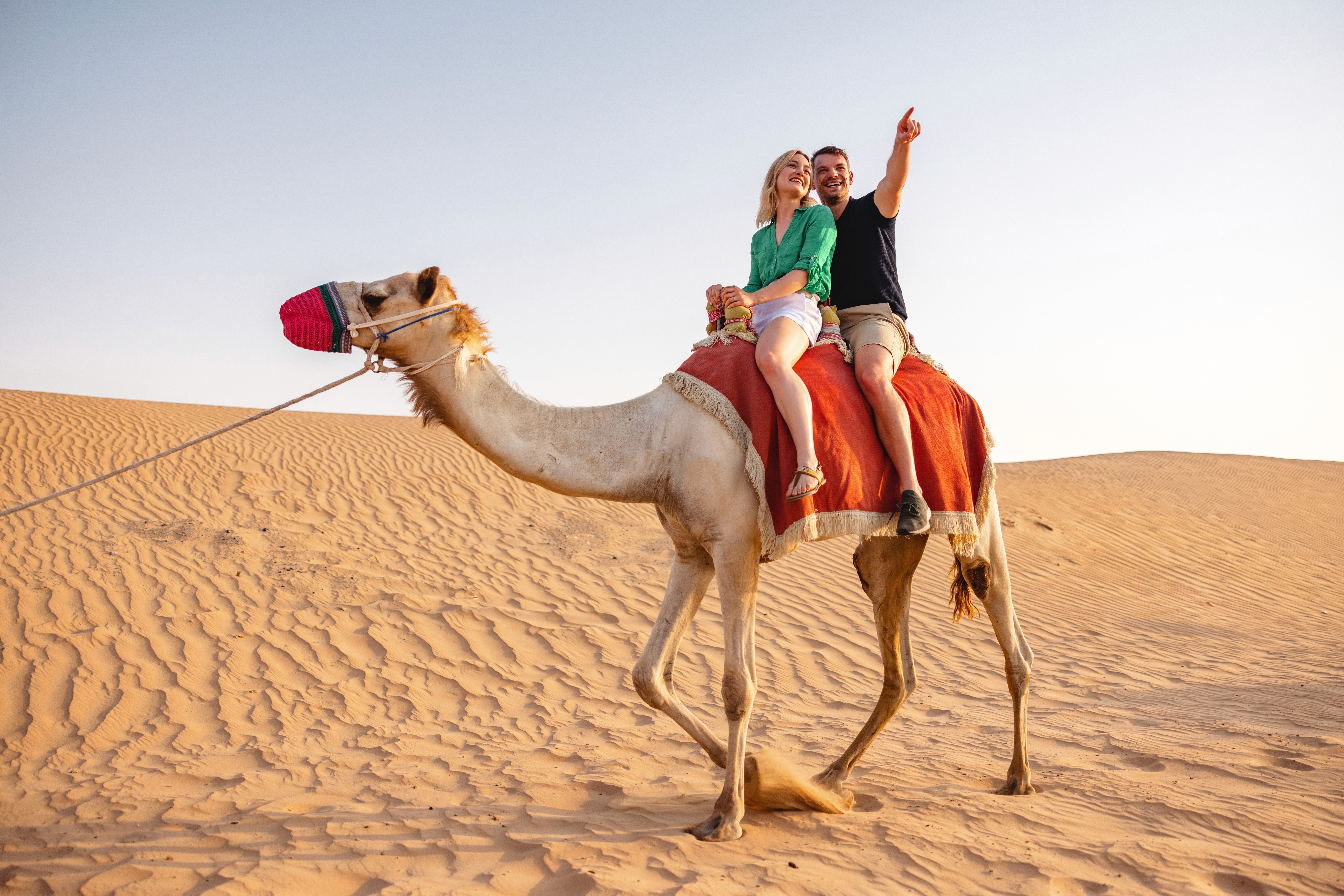 Desert Safari Dubai Tips