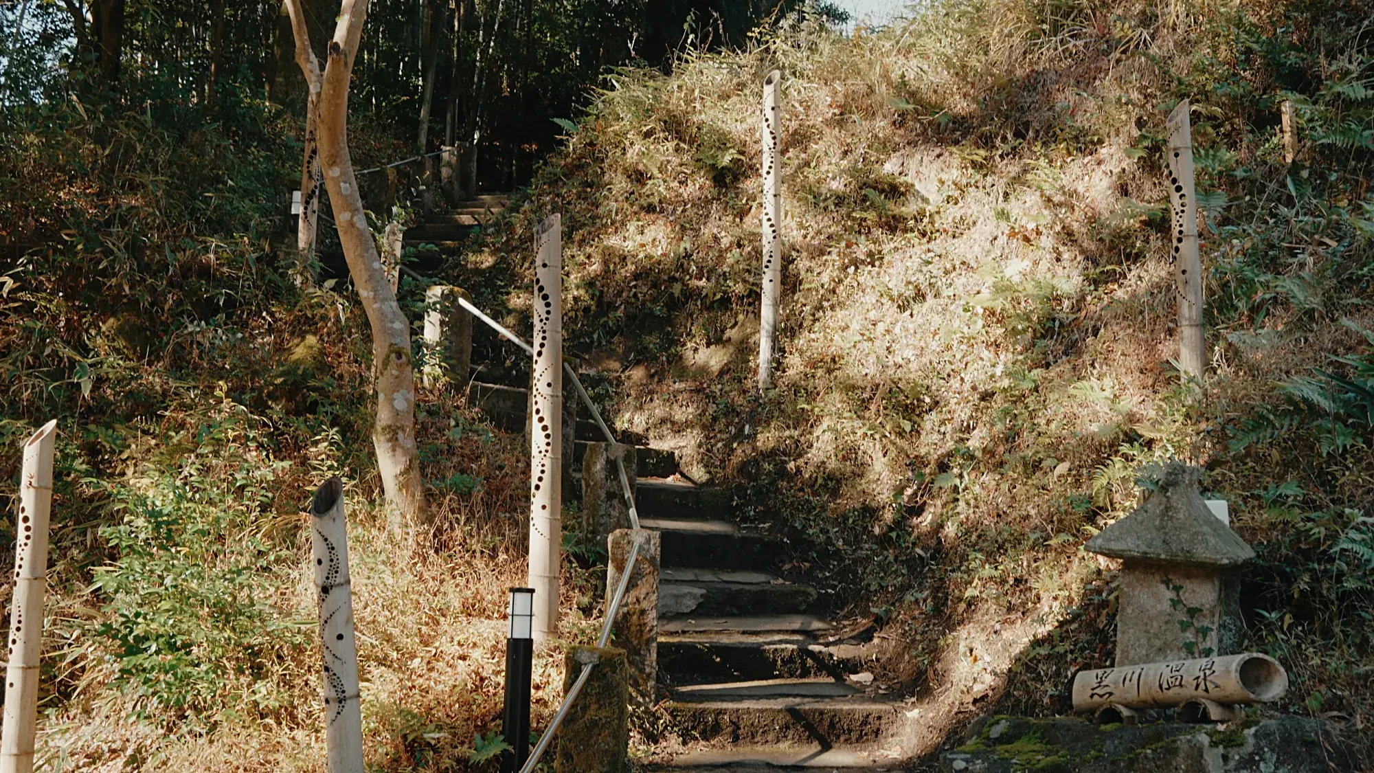 Stone steps climbing a wooded slope at Kurokawa Onsen past a stone lantern