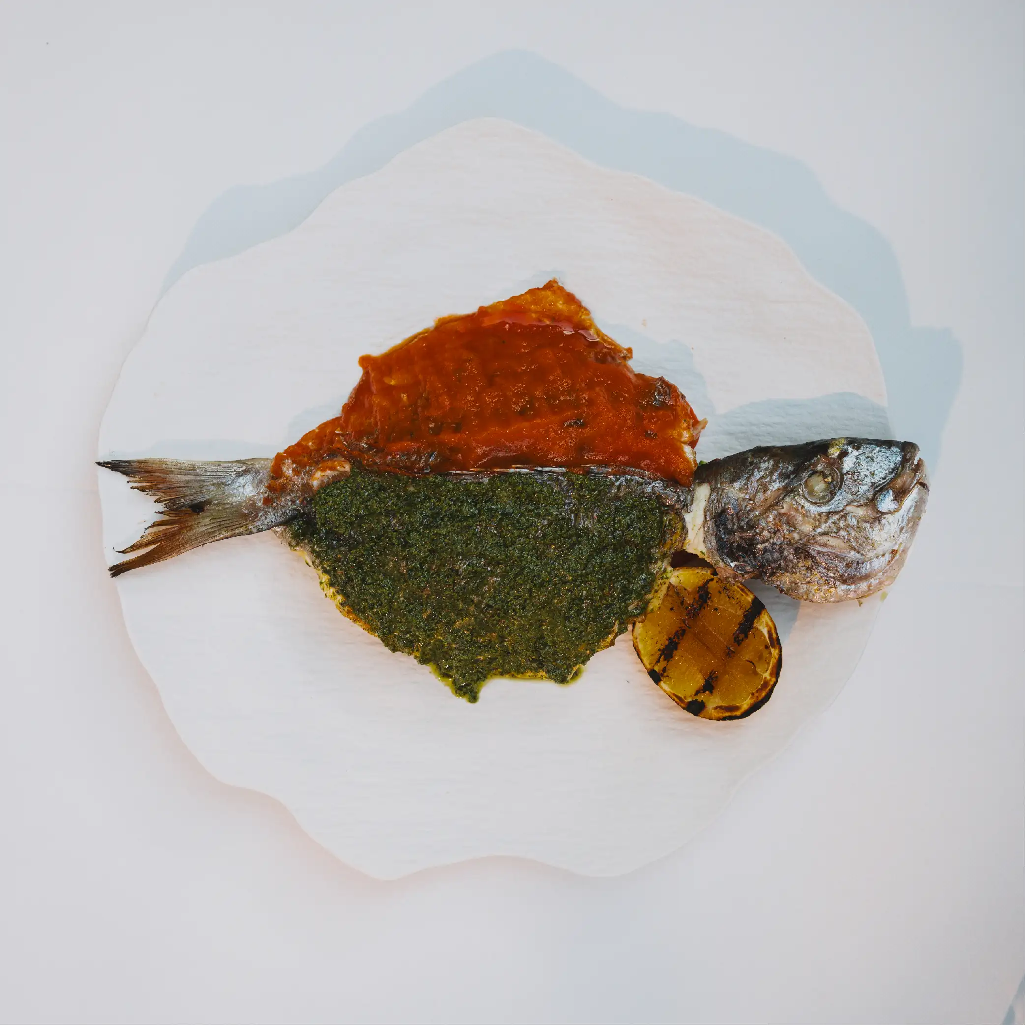 Sea Bream