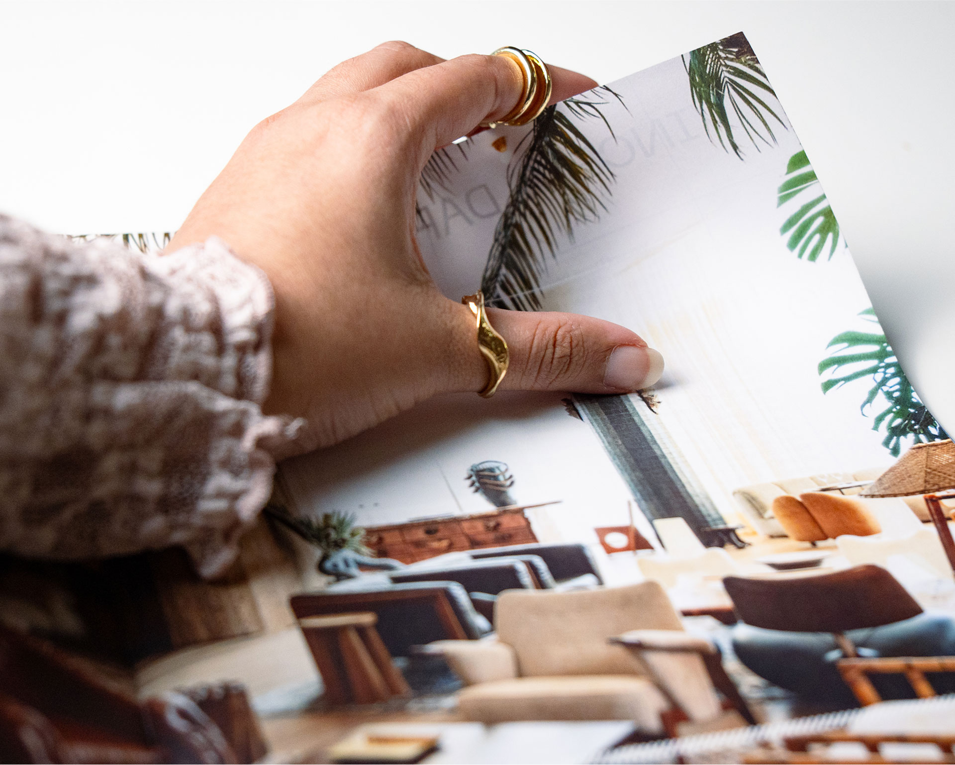 A hand adorned with several gold rings holds a page with a tropical palm leaf design against a plain background, suggesting themes of nature and elegance.