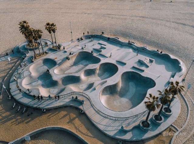 A top-down shot of skaters navigating a large concrete bowl near palm trees and sand