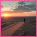 Nori-Profilbild für Bewertungen zu unserem AI-Video-Hintergrundgenerator
