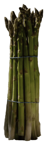Asparagus