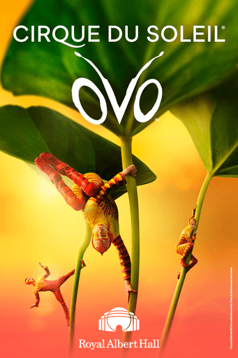 Performer in colorful costume from Cirque du Soleil OVO show.