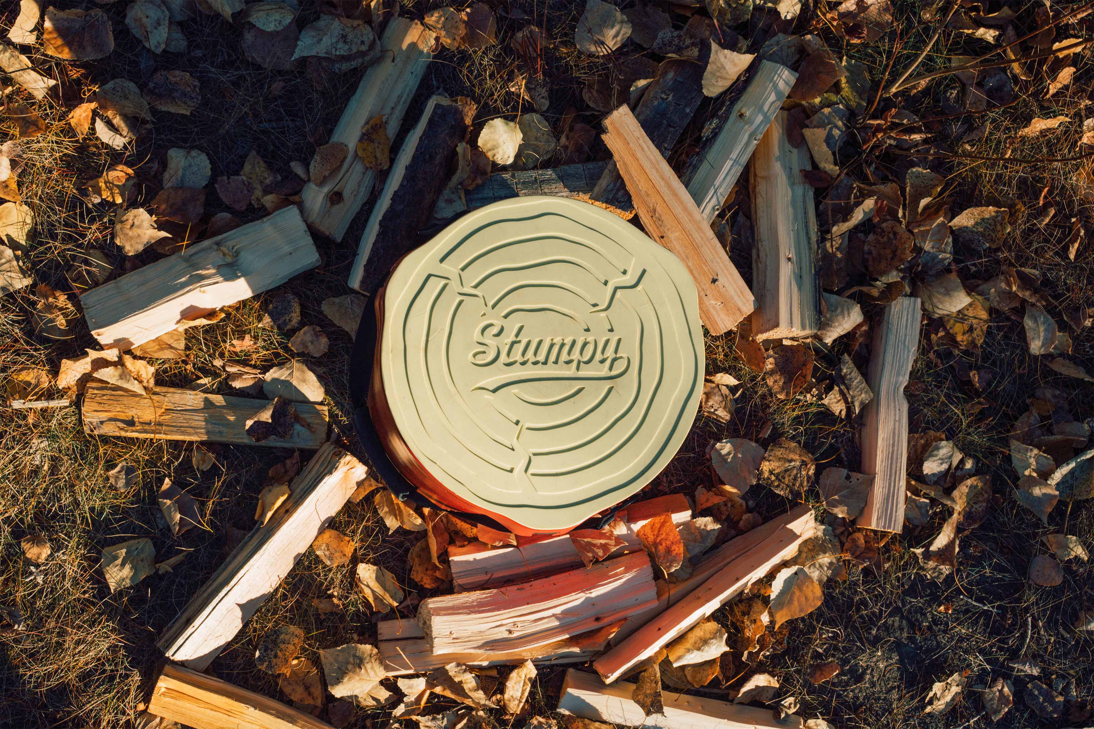 A top down picture of stumpy surrounded by wood pieces and the logo on the lid showing