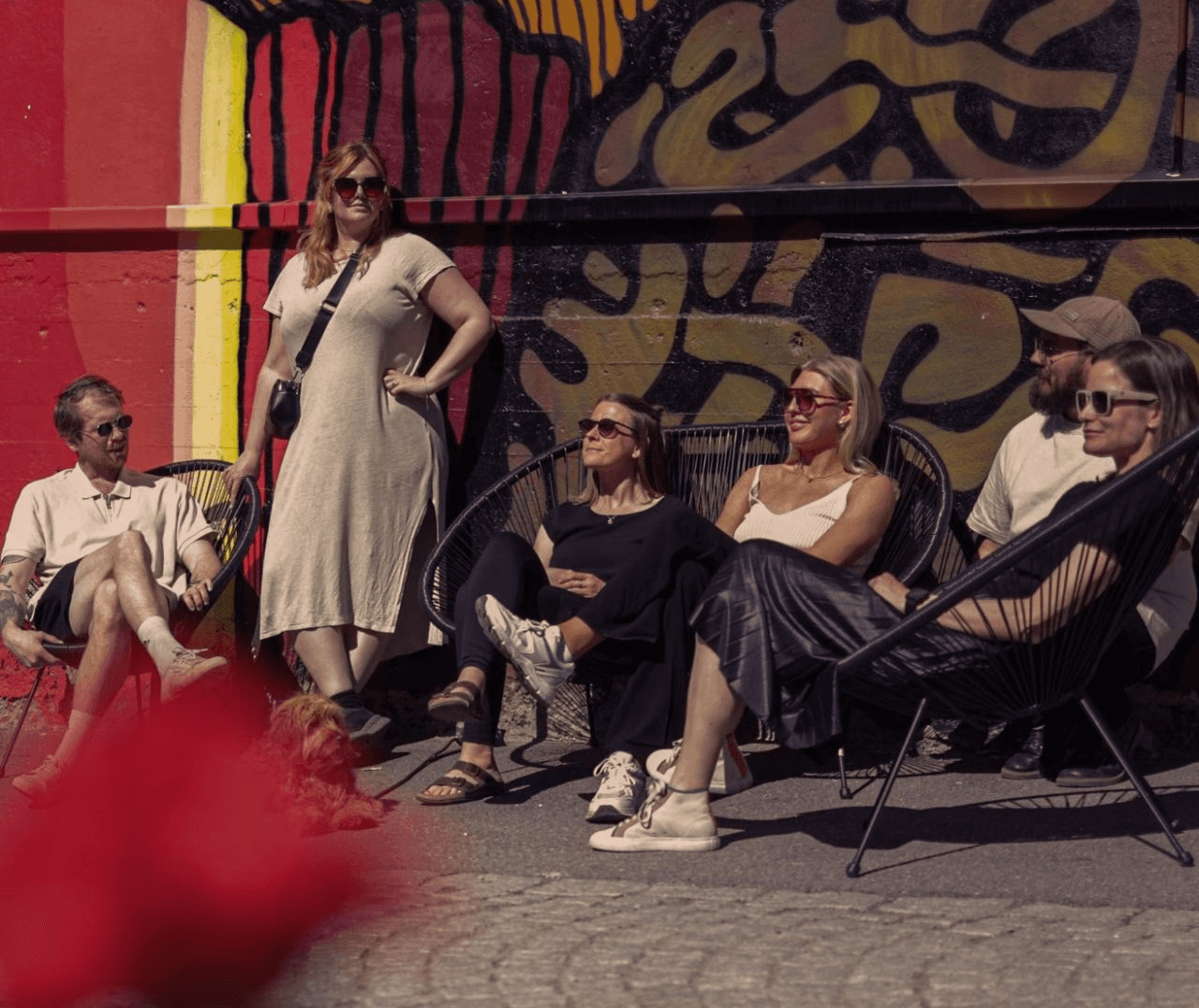 The image featured in the middle of the about us page