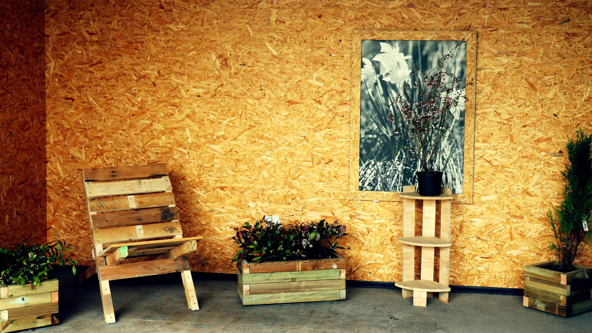 Avenir Bois Formation