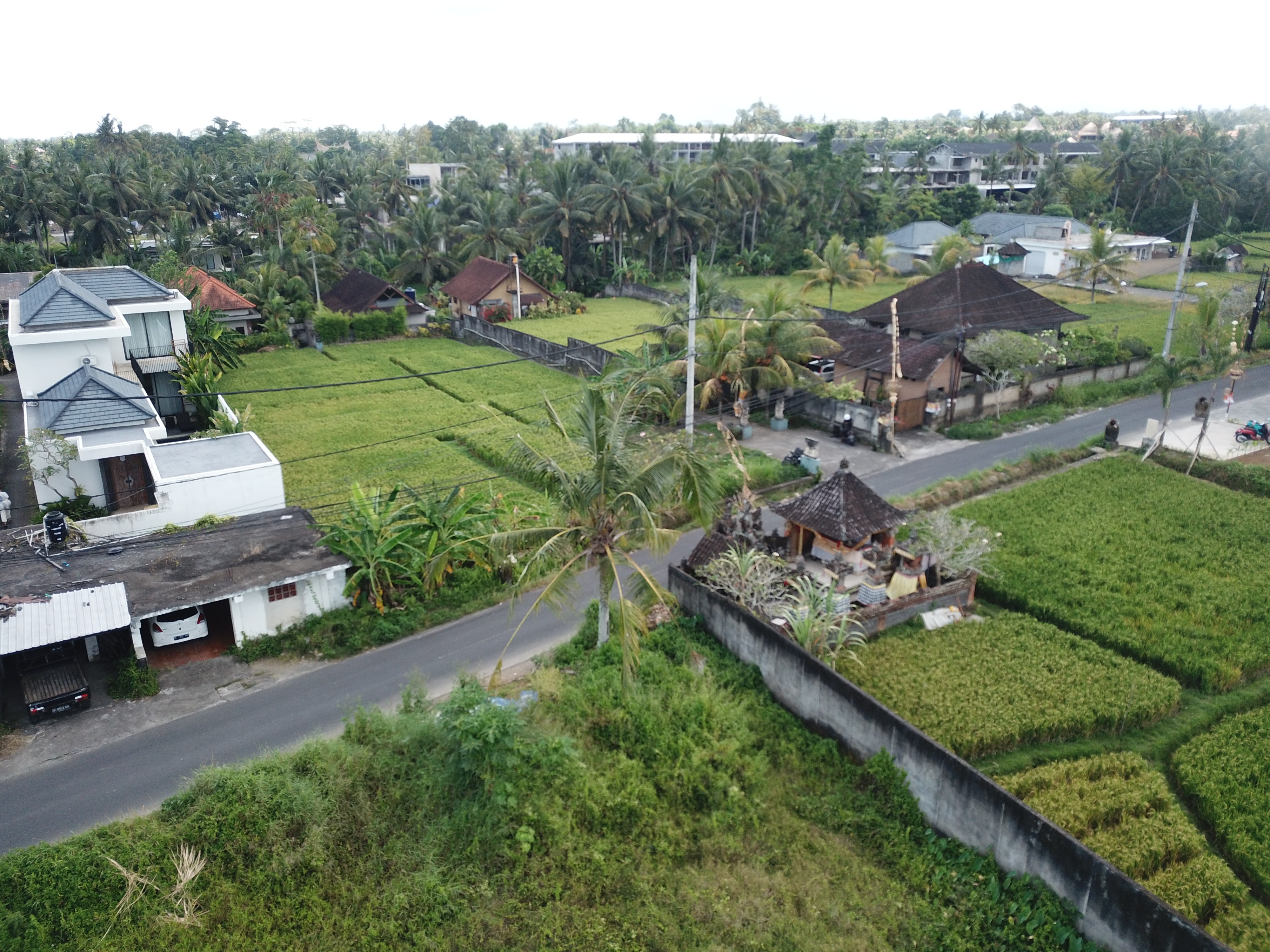 Land plot 3200 m² in Ubud, Leasehold