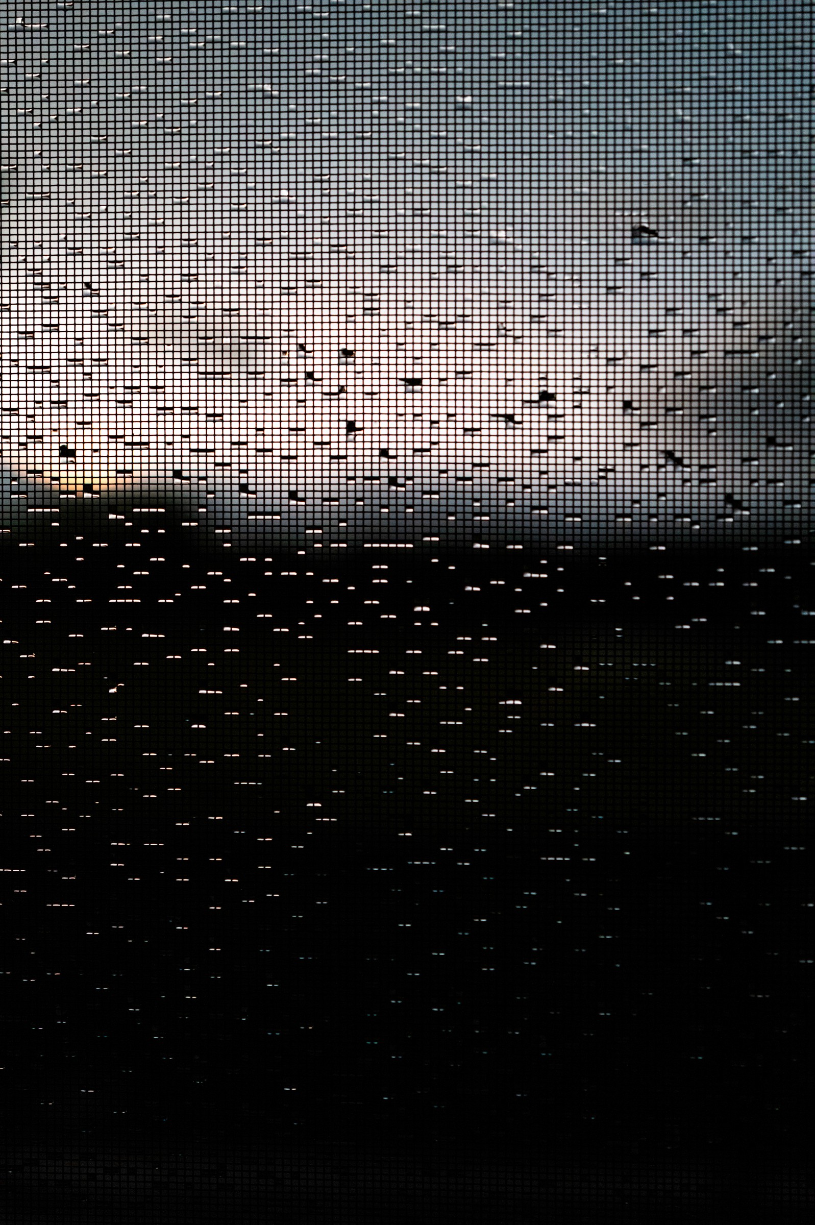 Close-up shot of rain droplets collected on a window screen
