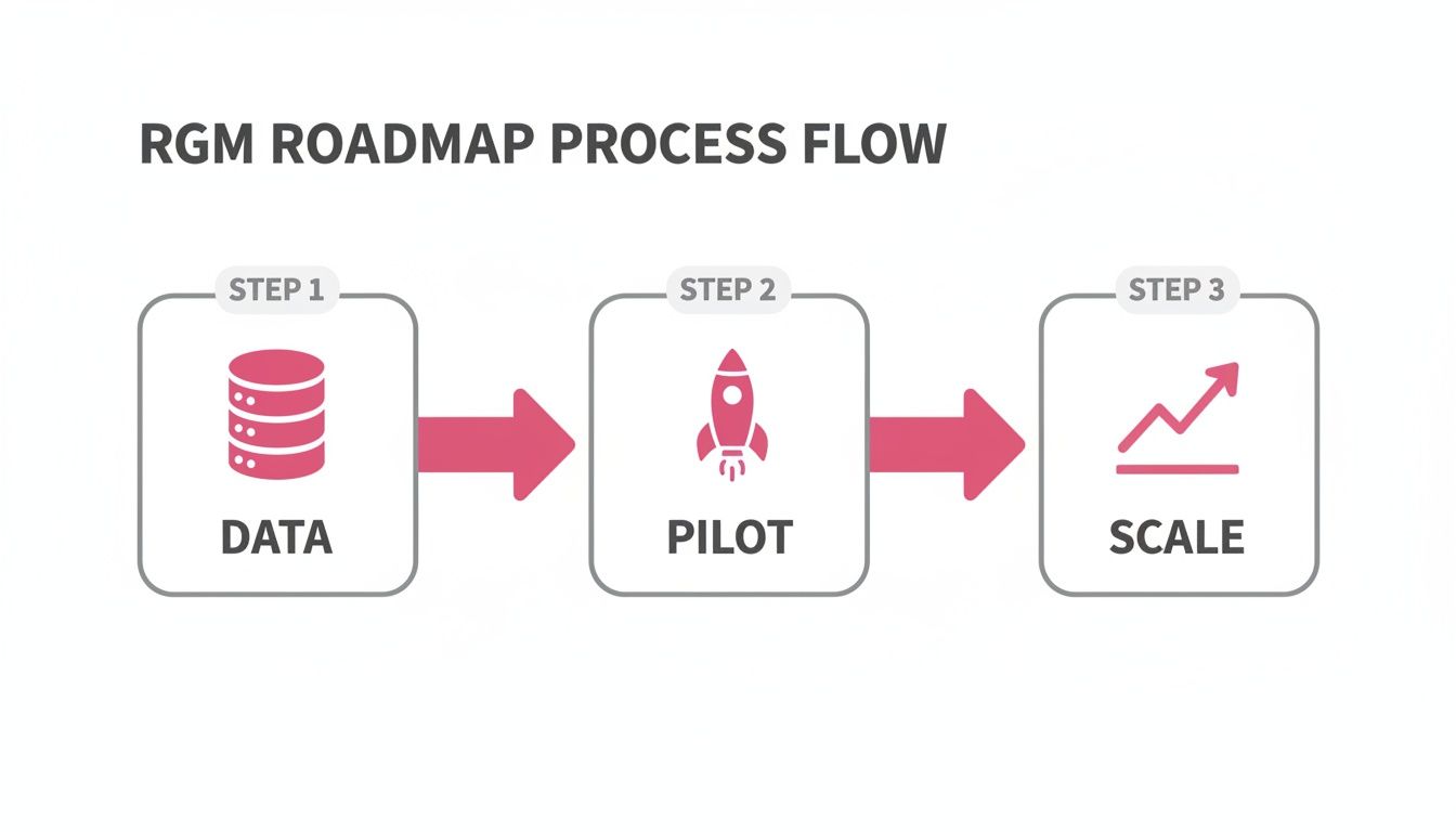 Revenue Growth Management (RGM) roadmap process flow with steps: Data, Pilot, and Scale, illustrated by icons.