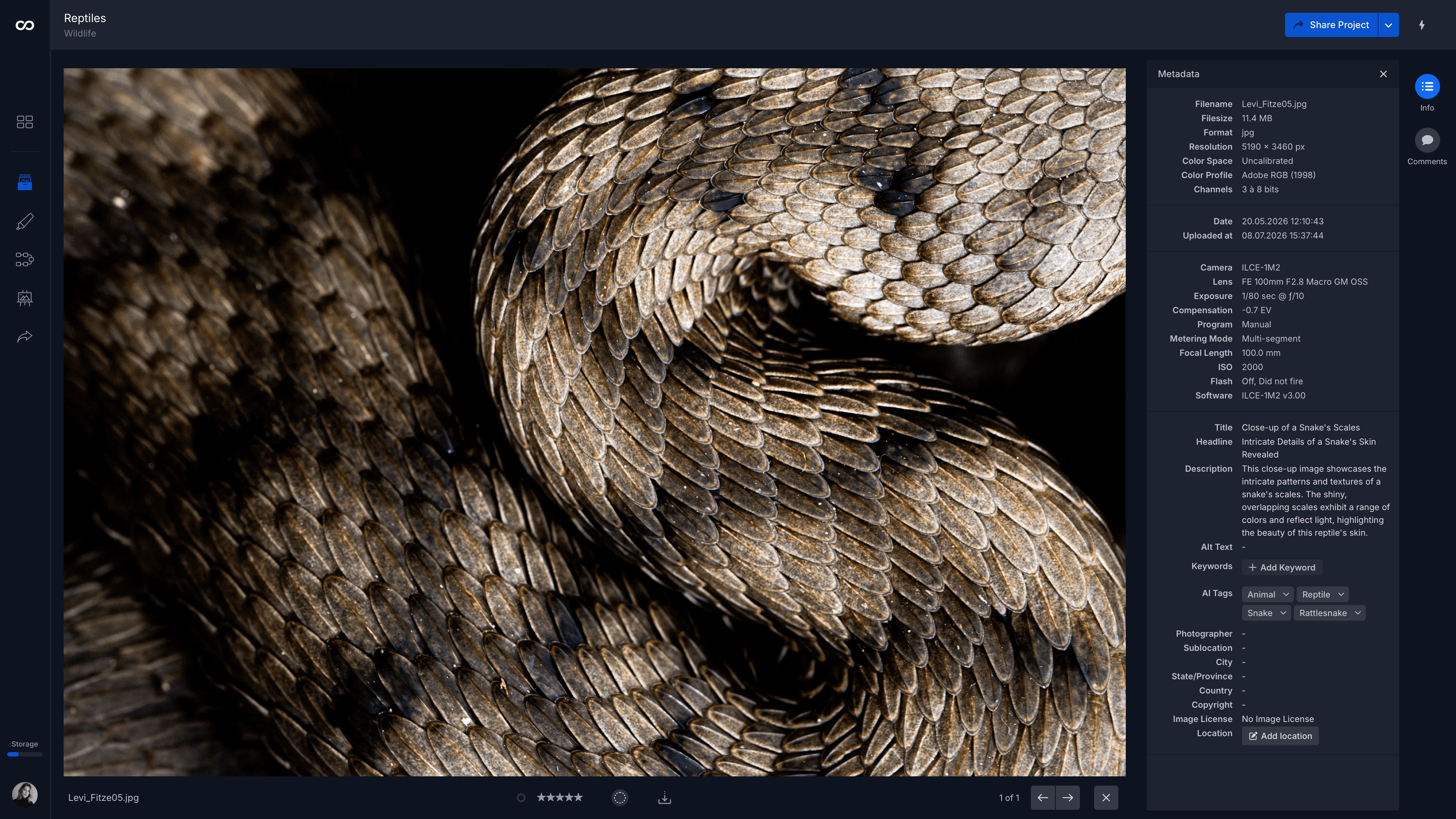 The moodcase library detail view of that snake photograph with the Metadata panel open. Camera, lens, exposure and AI tags are filled in, while alt text, keywords, photographer, location and copyright are all empty.