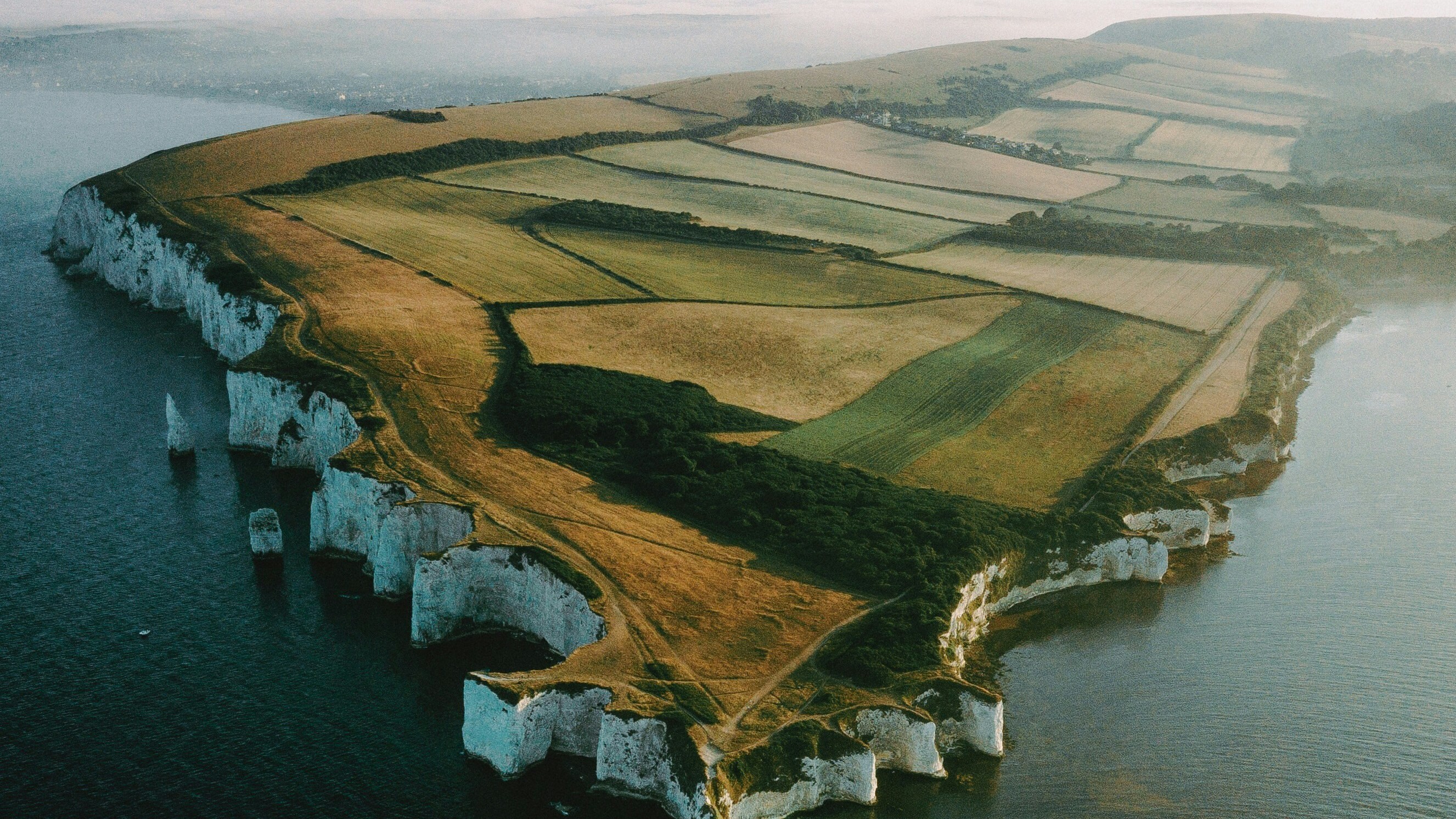 White chalk cliffs and green farmland at Old Harry Rocks on the Dorset coast, England.