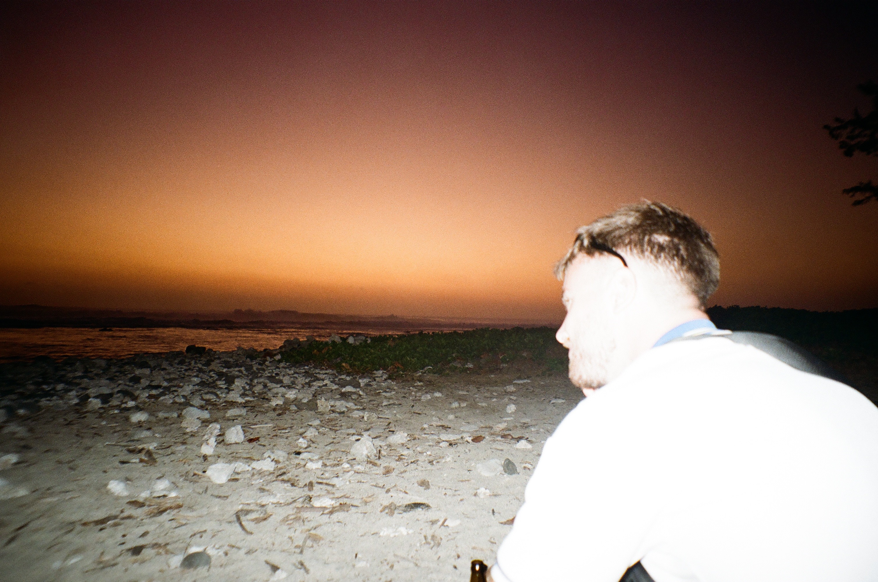 Close-up of a yellow tennis ball sitting on a green court, positioned near the white center line.