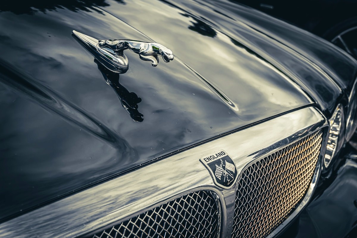 Restored chrome detail on a classic British Jaguar bonnet and grille