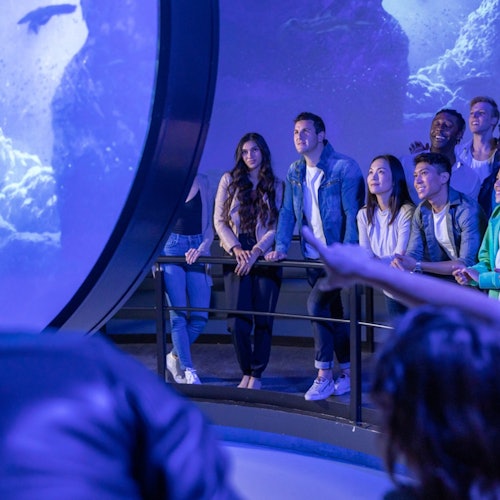 Flyover Experience in Las Vegas tickets