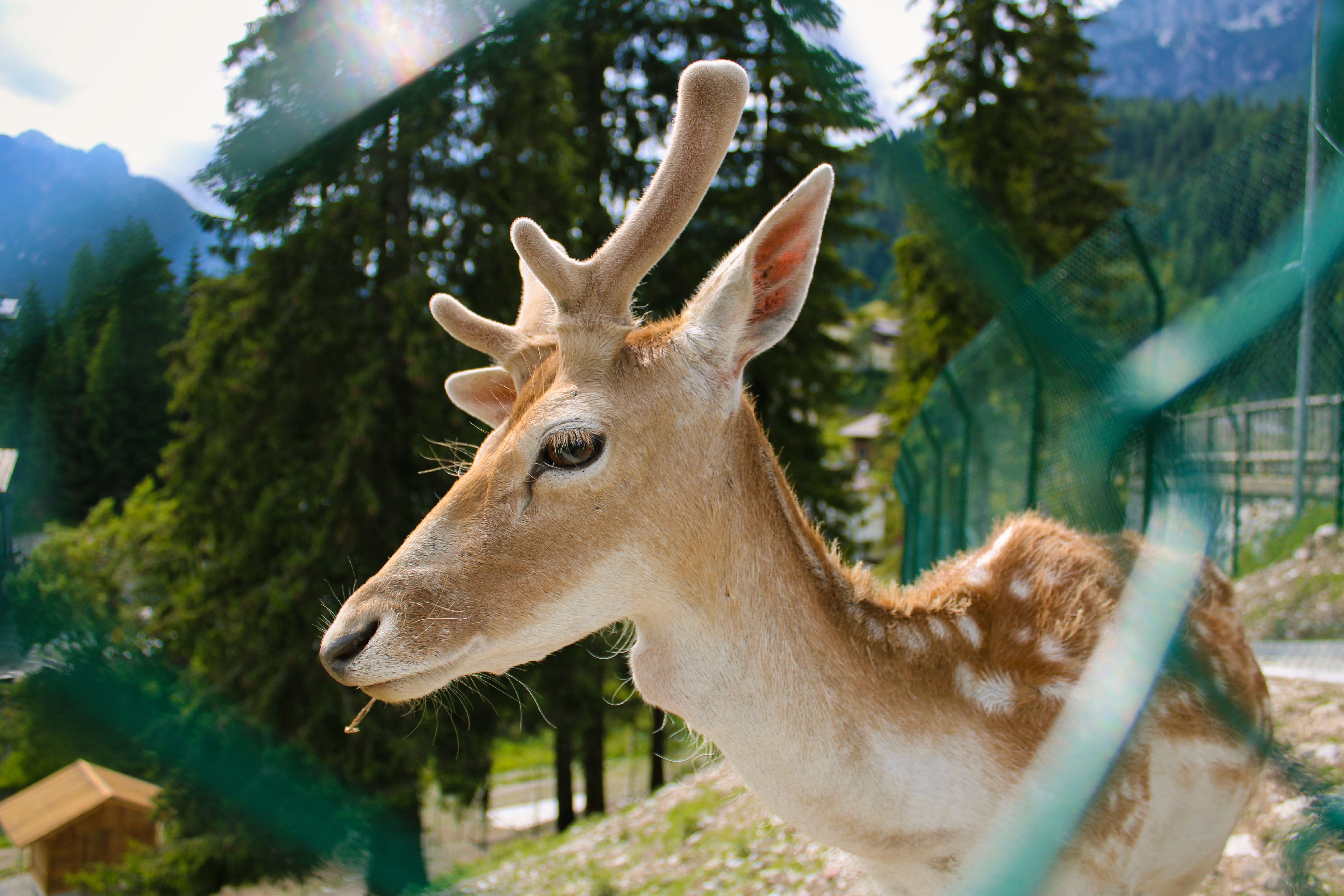 a group of people walking on a sidewalk