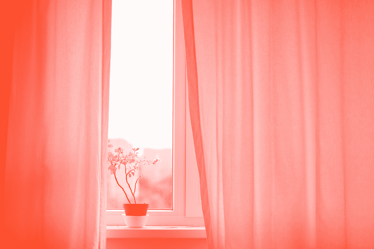 Sheer curtains at a window with a small potted plant on the sill