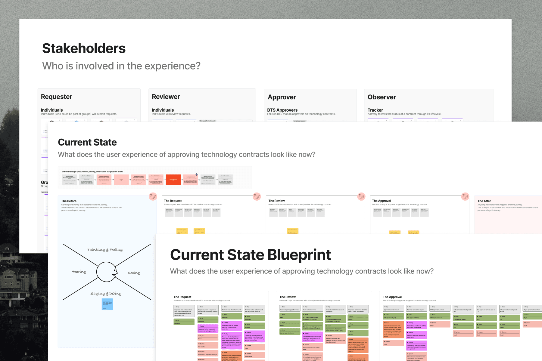 trees on forest with sun rays