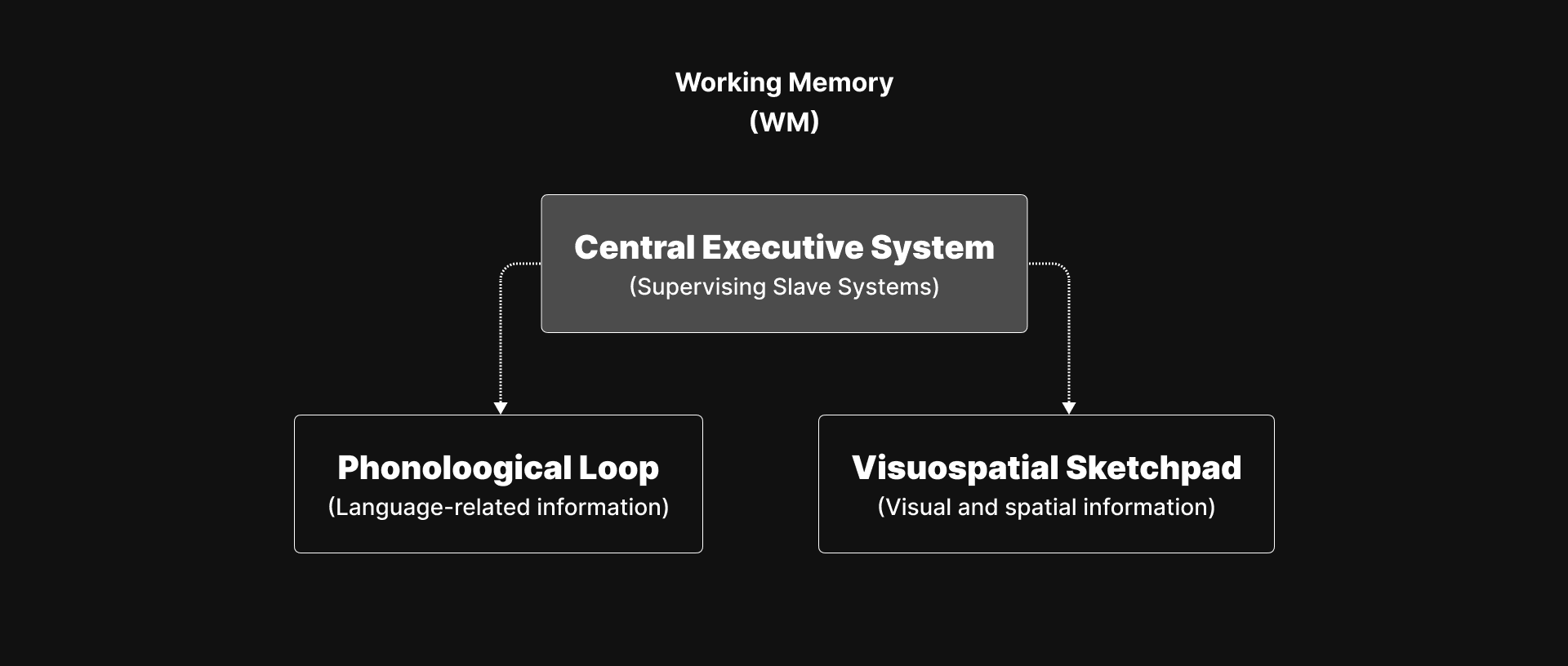 Working Memory Componens