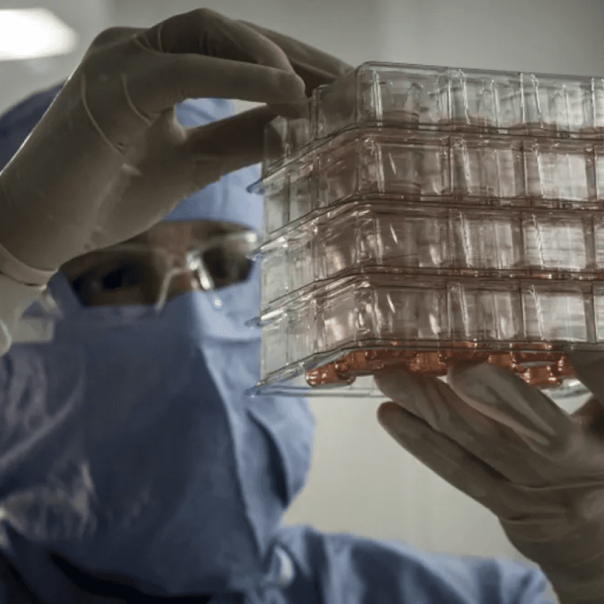 A scientist in a lab holds a vial containing samples