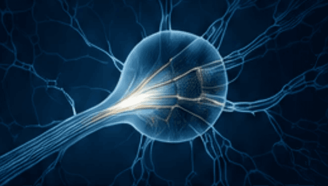 optic toxic neuropathies