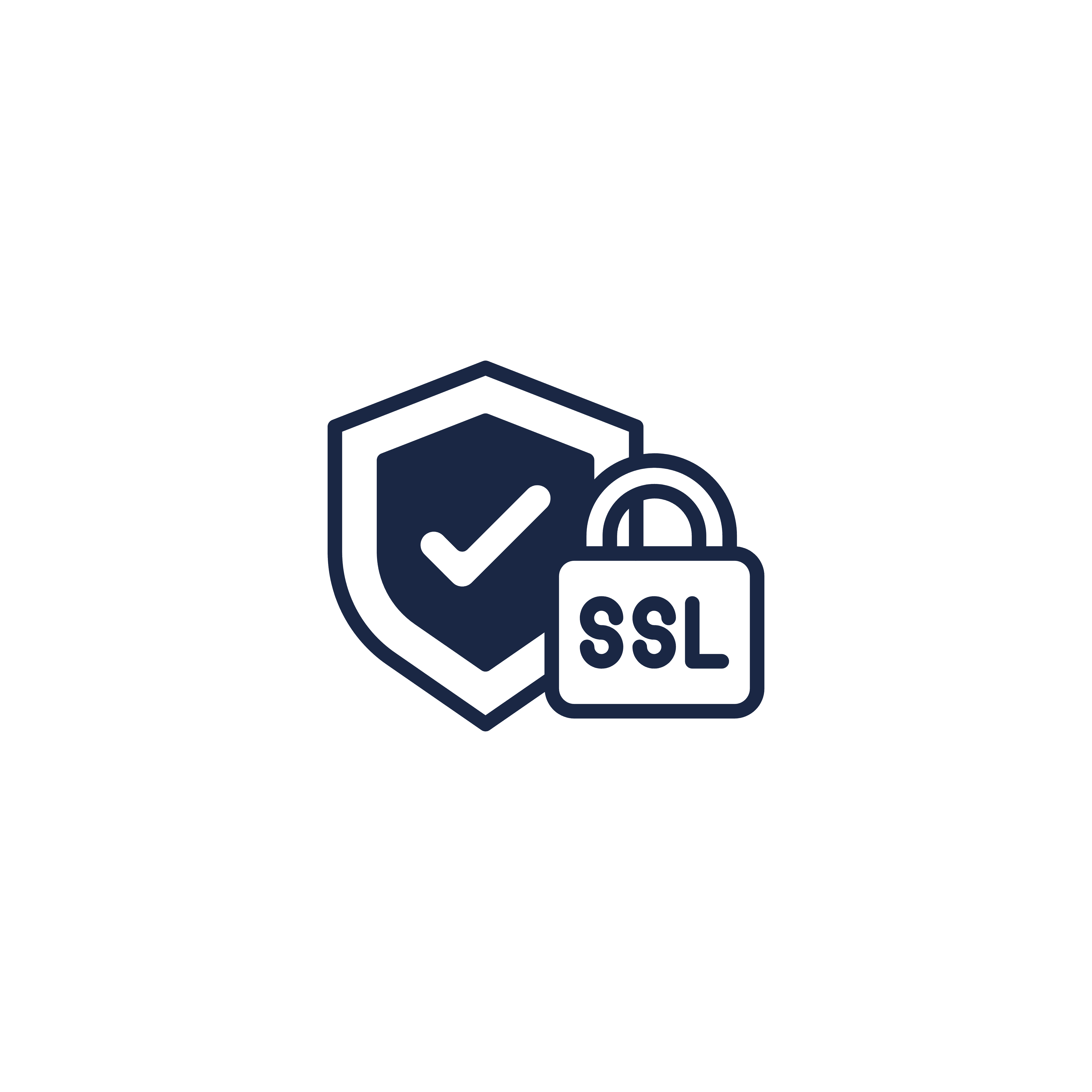 Icon 2
