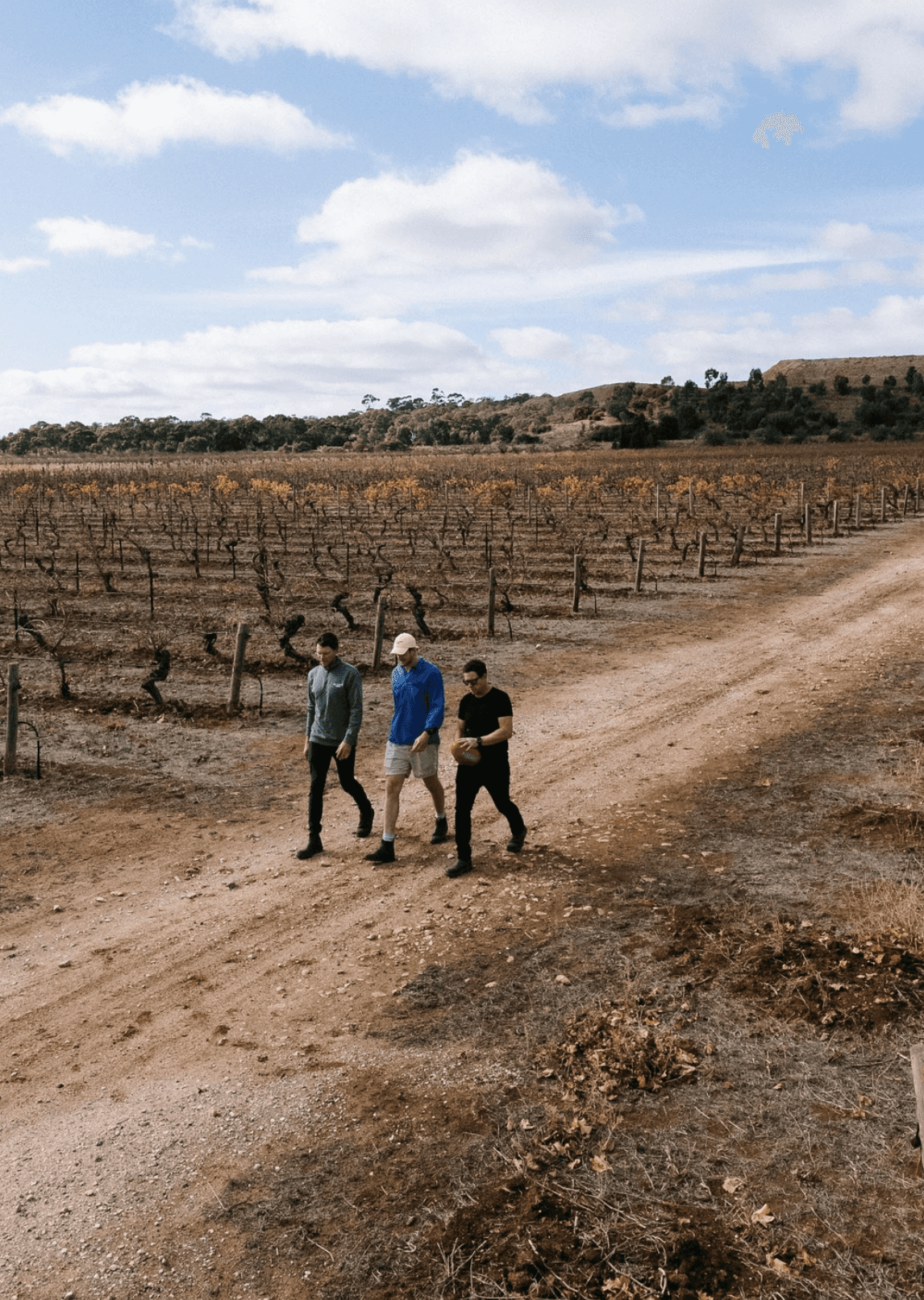 Three men walking along a dirt track between rows of vines with autumn-coloured leaves