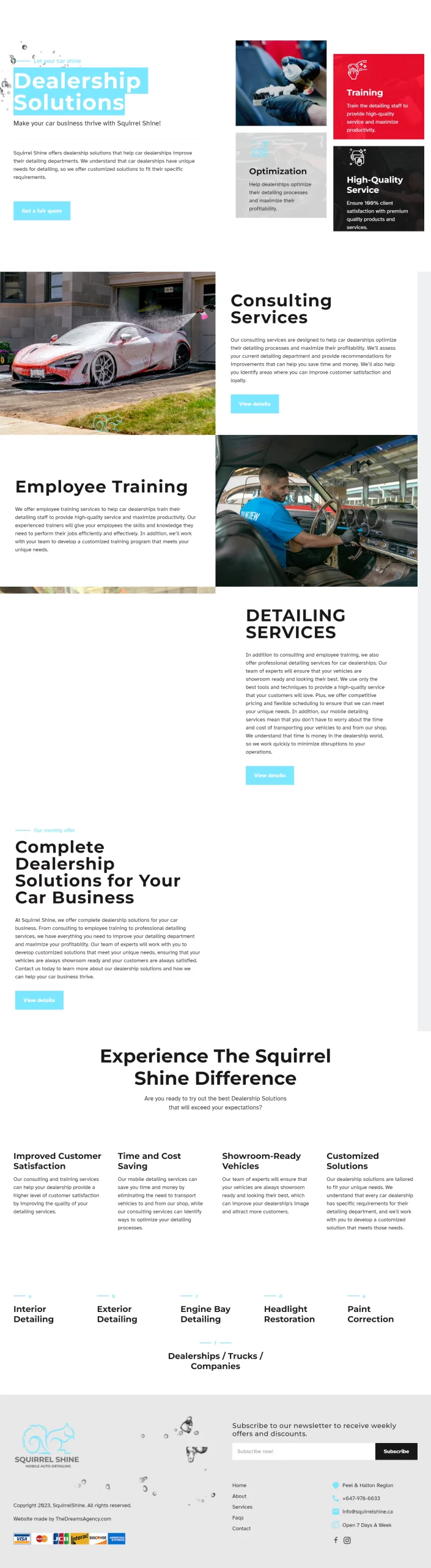 Dealership Solutions page for squirrelshine website developed & designed by Dreams Agency Mississauga, Ontario