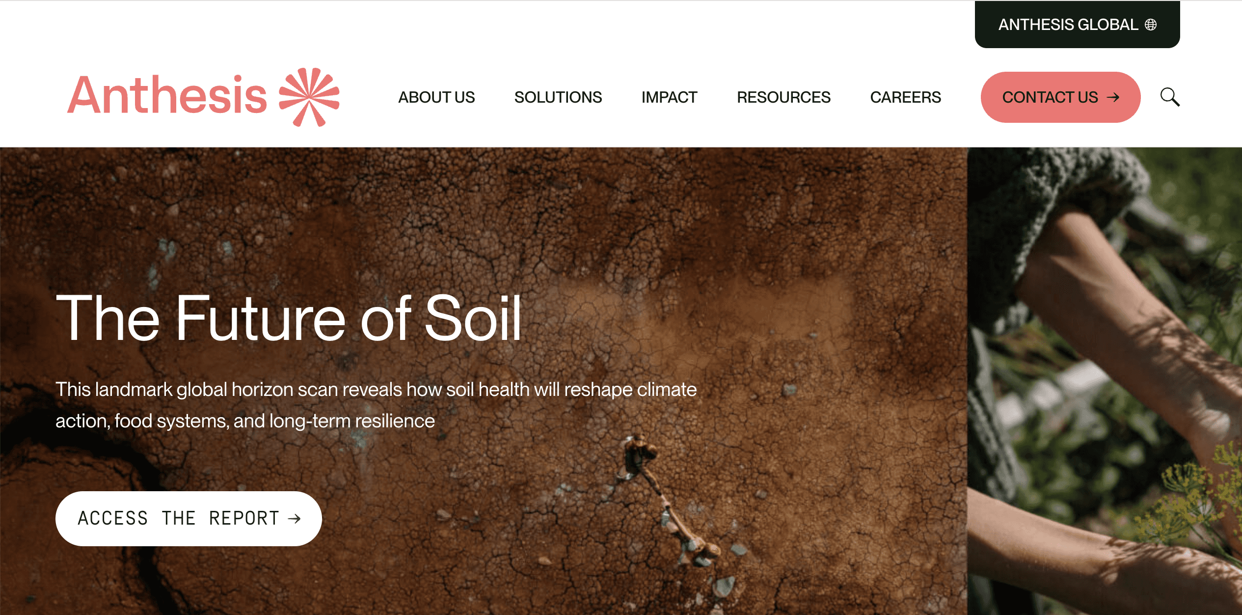 Screenshot of Anthesis website