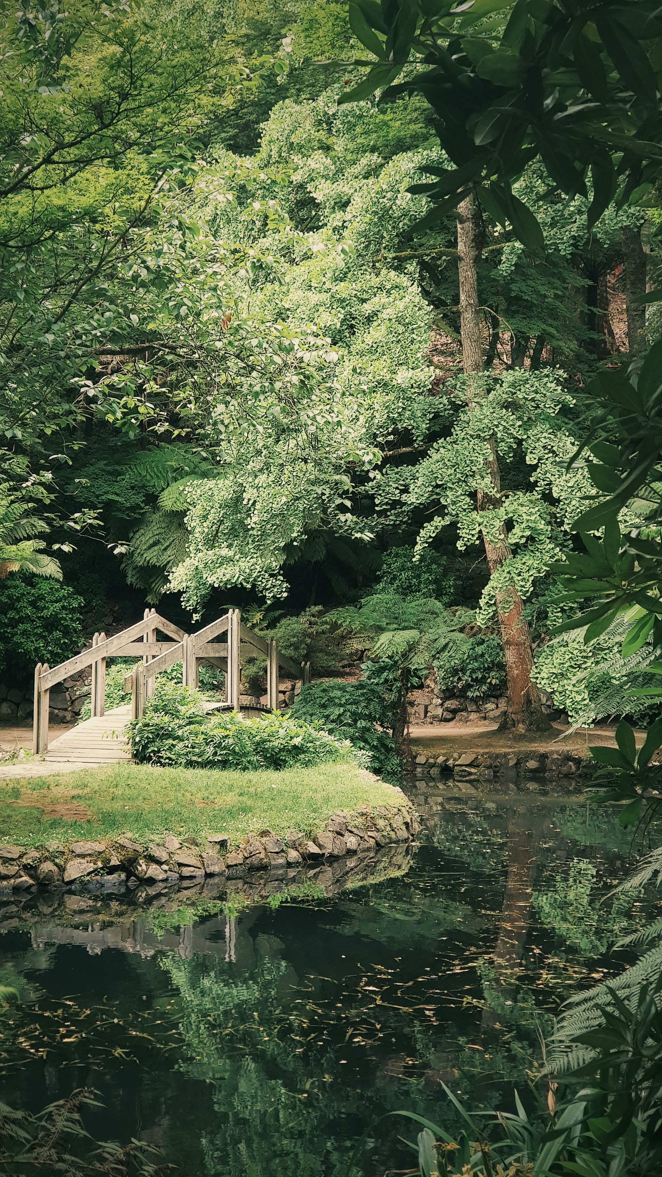 Een tuin van Intergreen Tuinen met een klein houten brug en boom