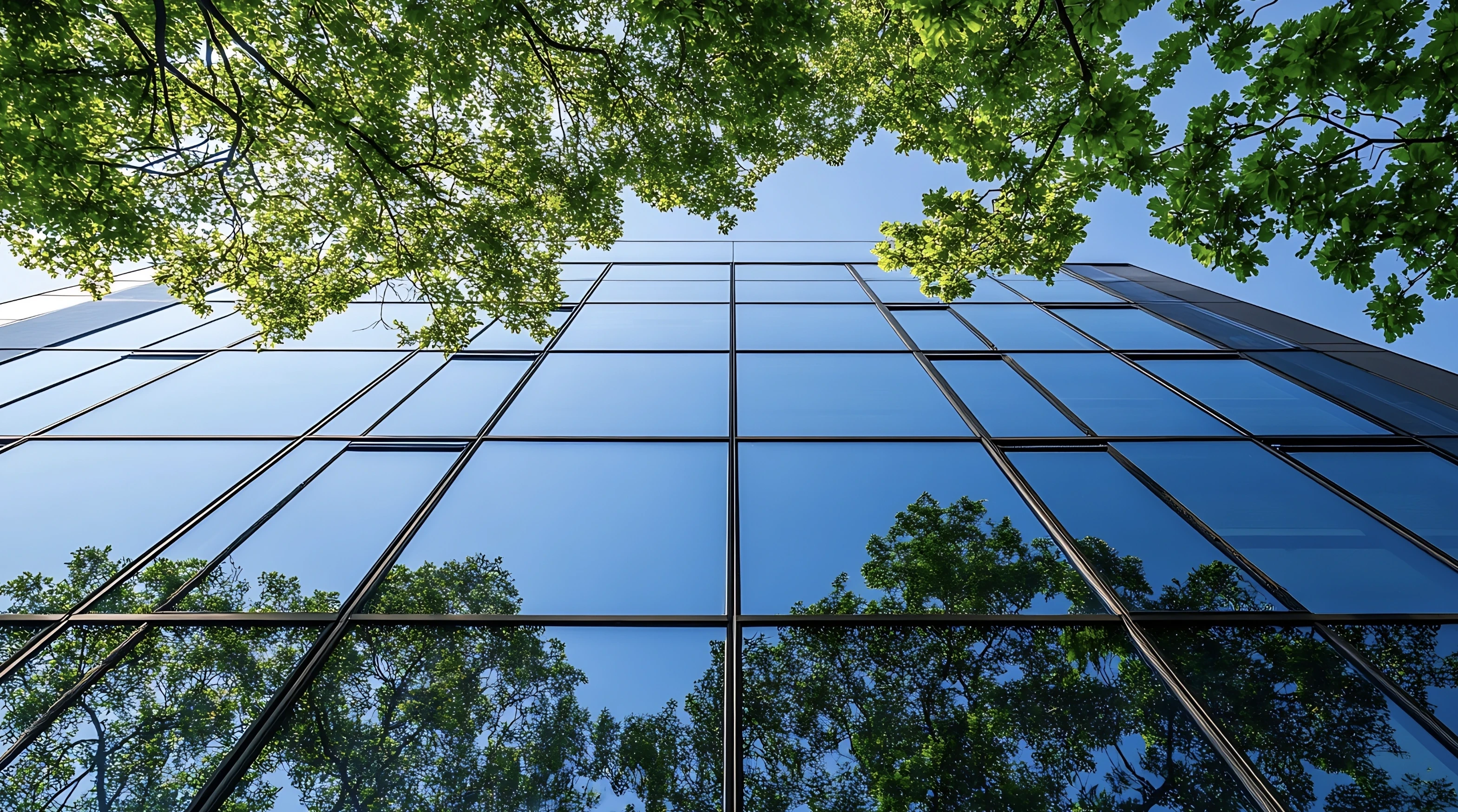 Aviva x Tigerhall: Driving Post-Merger Cultural Integration