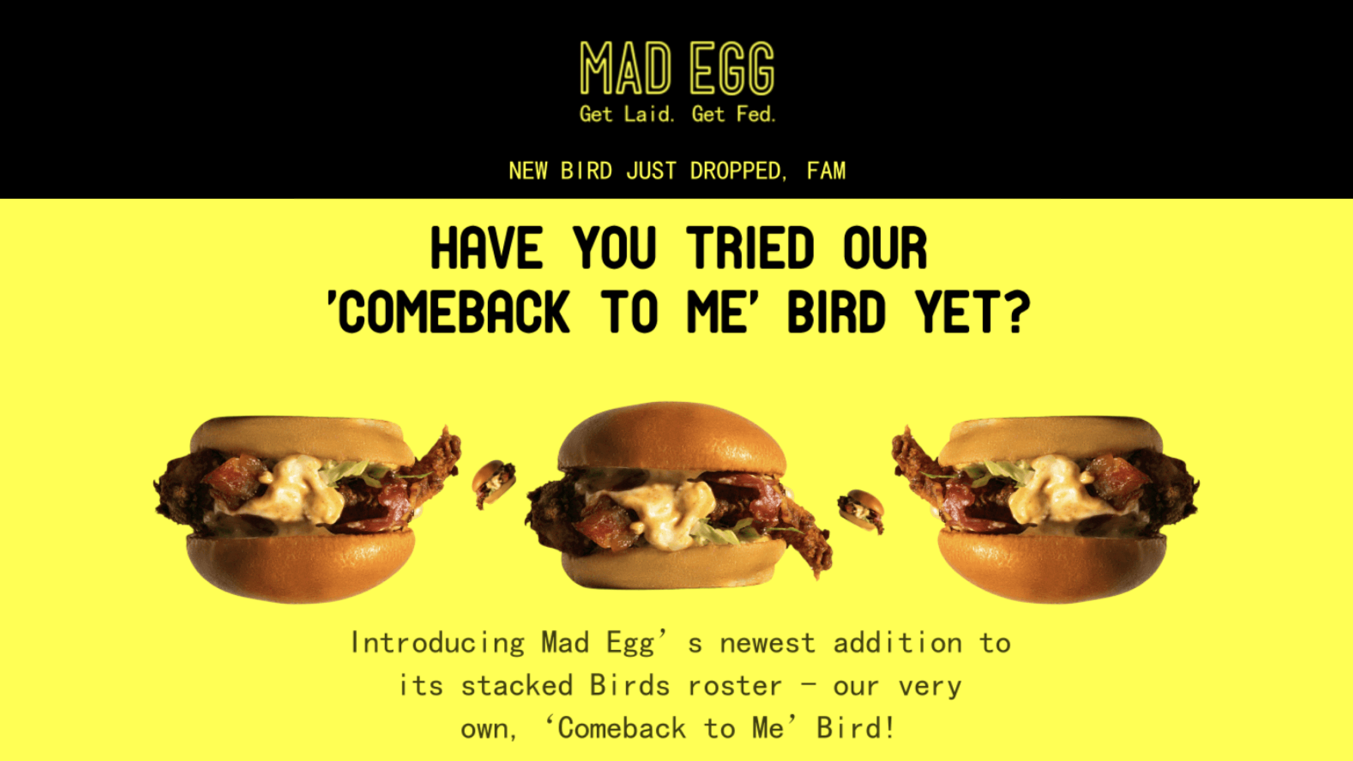 Mad egg newsletter example