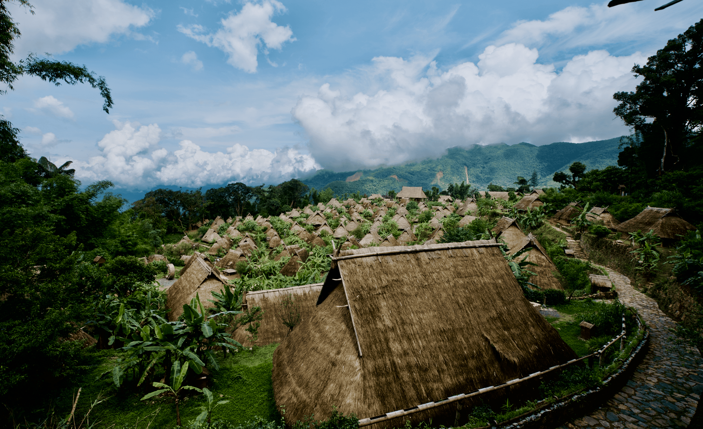 Wengding Village aerial, under a blue sky, cottages of brownish-yellow dotted amongst green trees