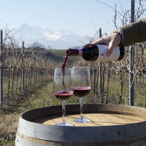יד מוזגת יין אדום לתוך שני כוסות על חבית, בכרם עם גפנים חסרות עלים והרים ברקע.
