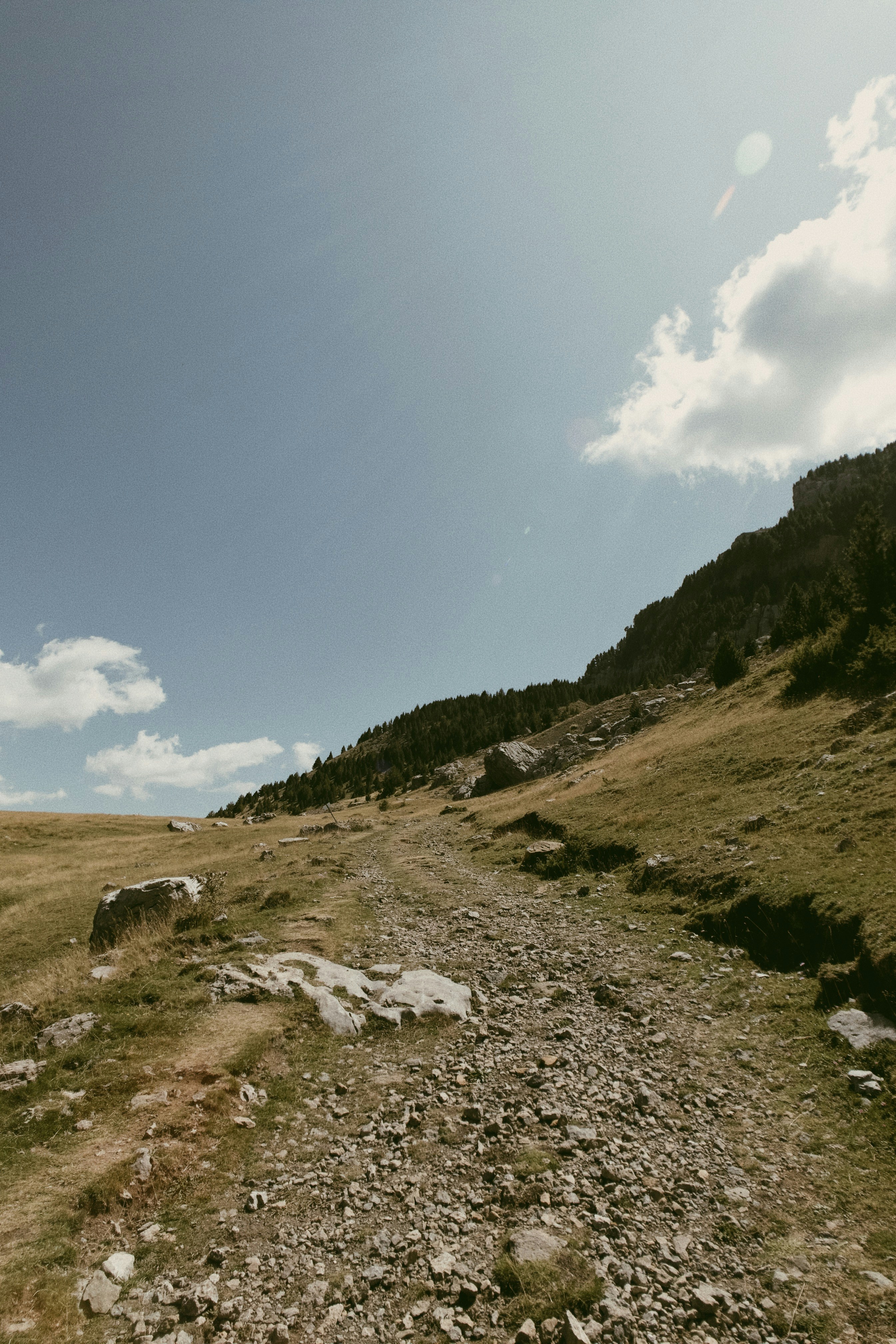 picnic in the mountains