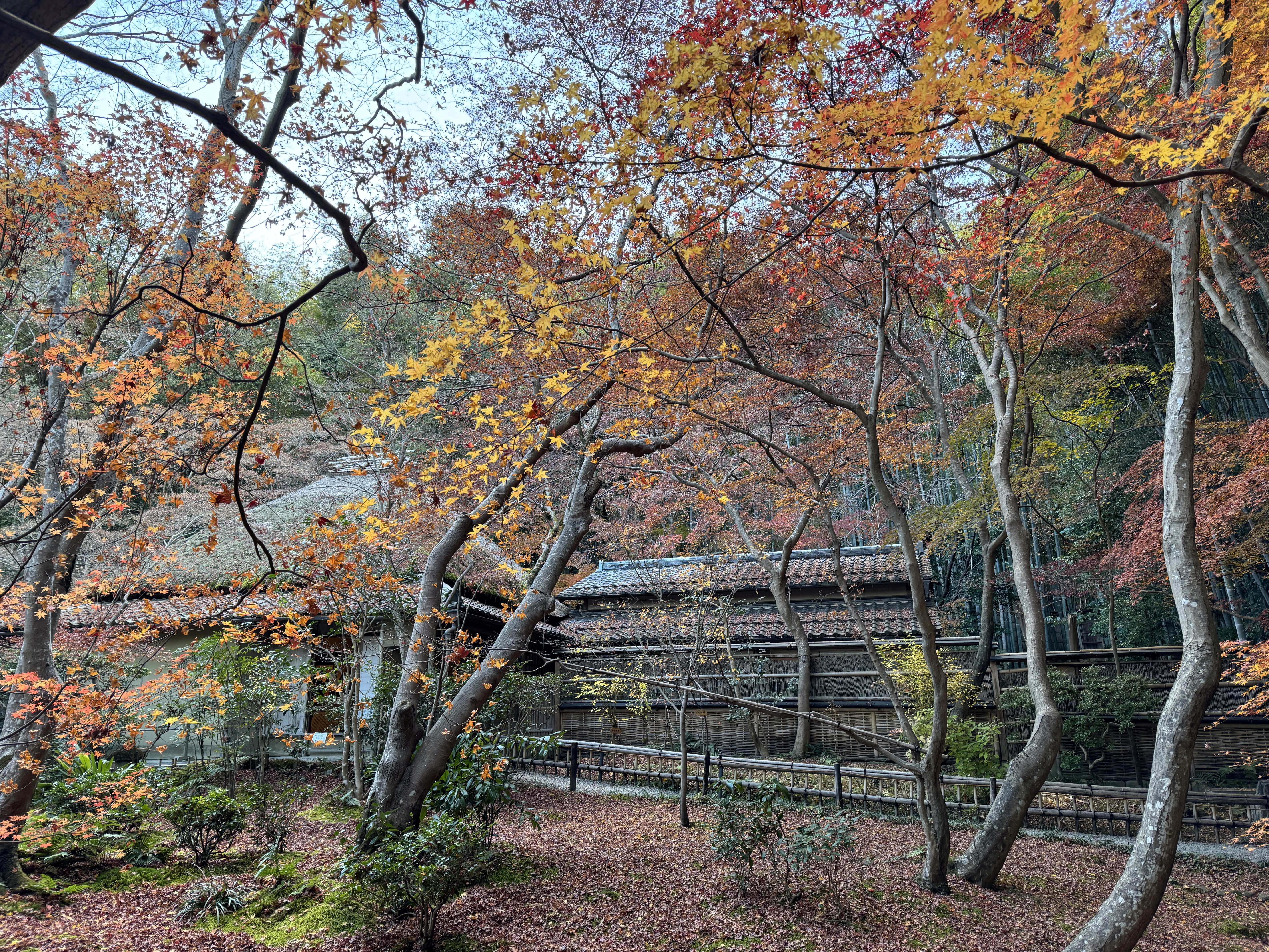 a group of people walking on a sidewalk