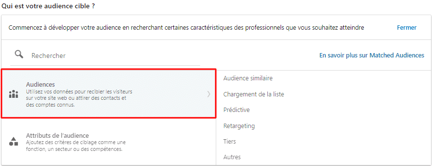 audiences linkedin ads