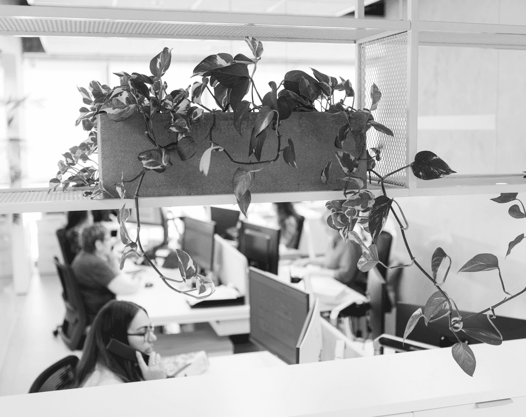 עובדות החברה יושבות בעמדות המחשבים