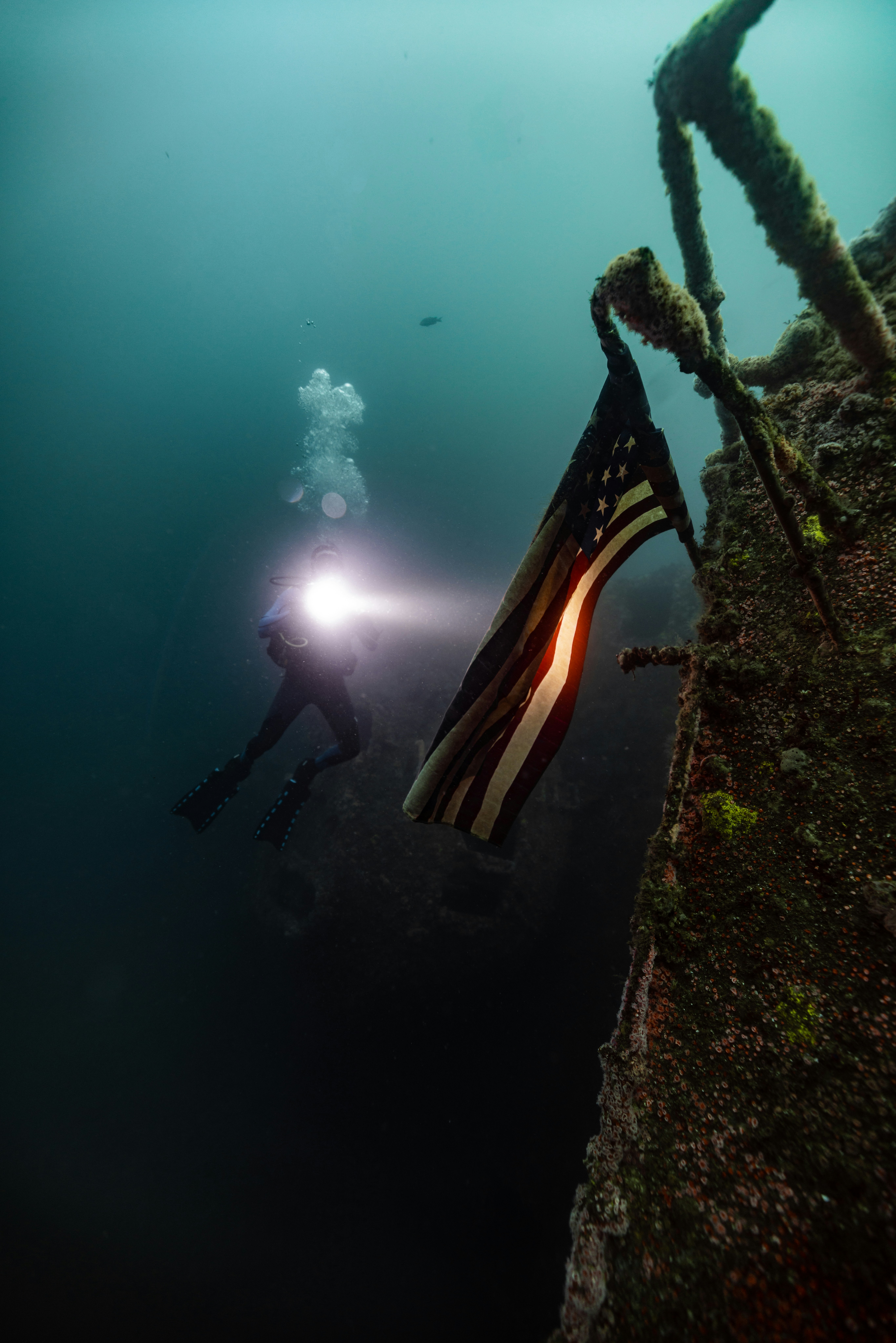 Scuba diver illuminating an american flag underwater.