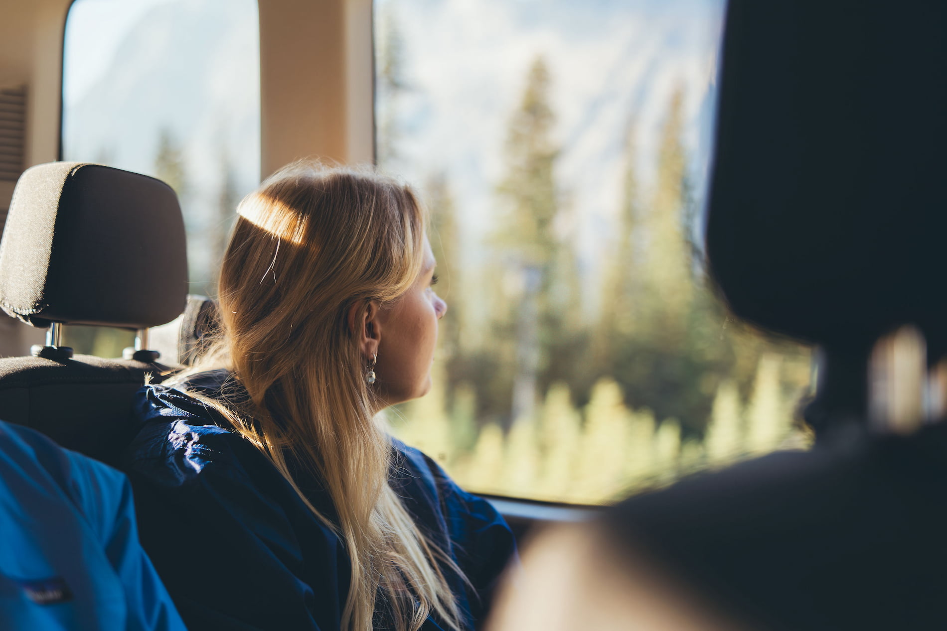 airport transfer passenger